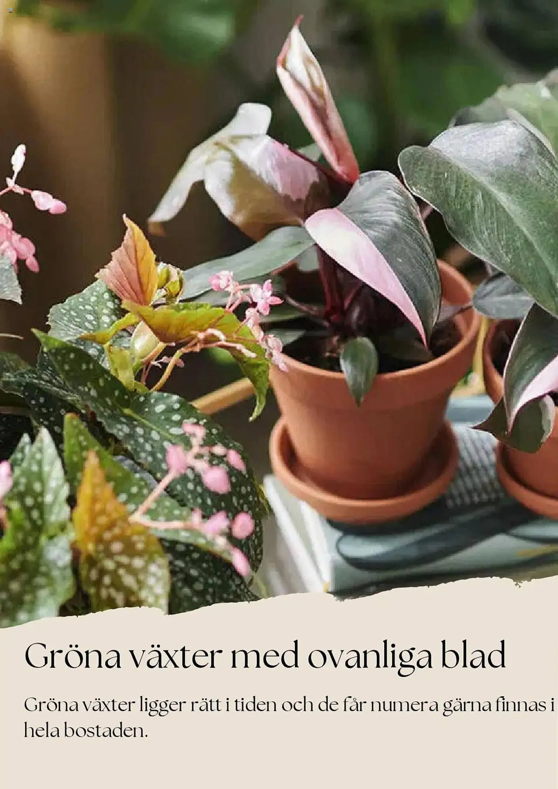 Plantagen reklamblad från 1 mars till 31 mars 2025 - Reklamblad sidor 9