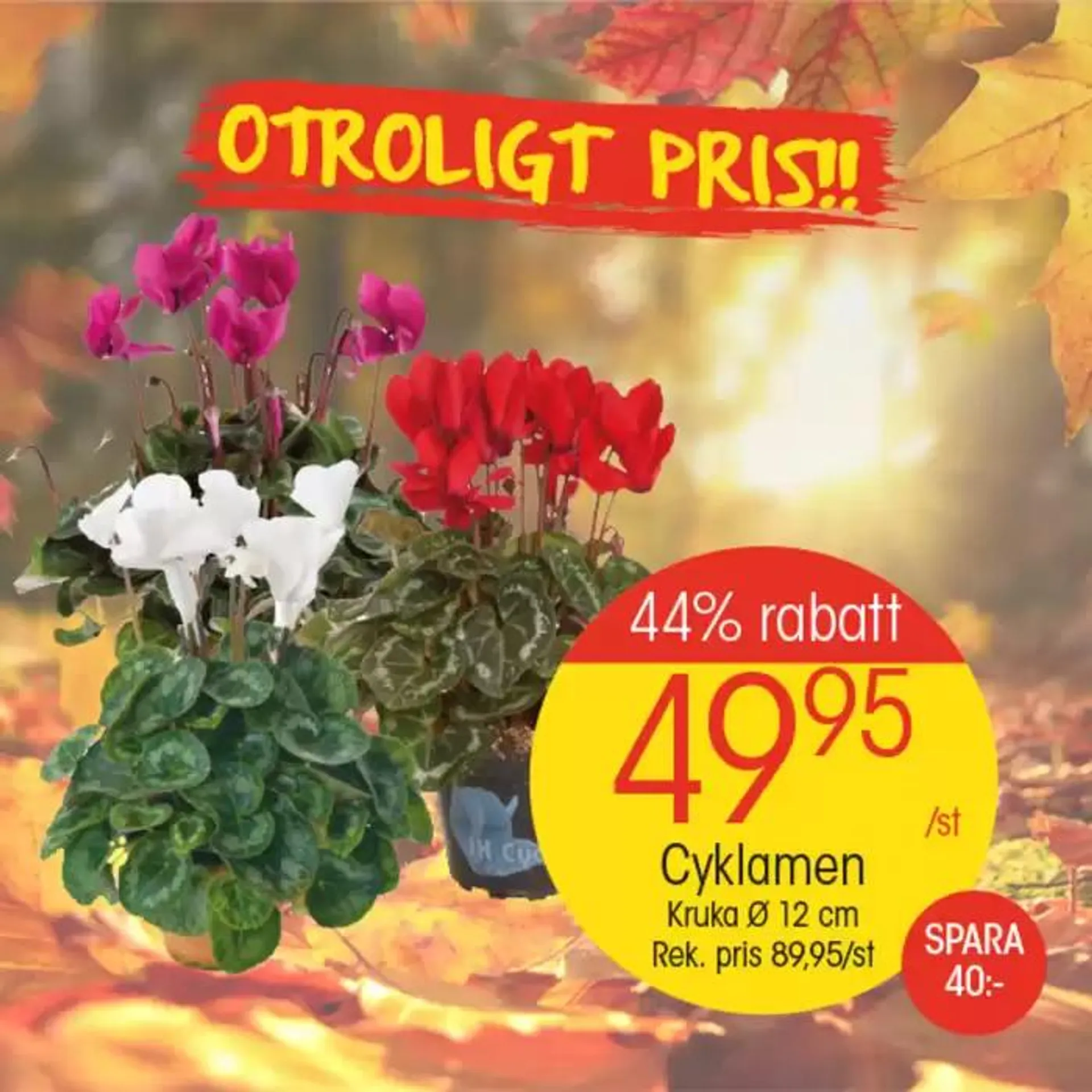 EKO reklamblad från 21 oktober till 4 november 2024 - Reklamblad sidor 6