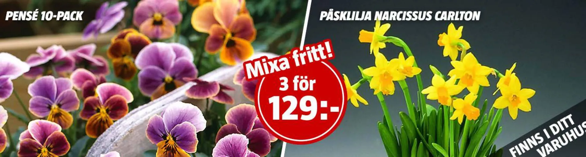 Bauhaus reklamblad från 1 april till 6 april 2025 - Reklamblad sidor 5
