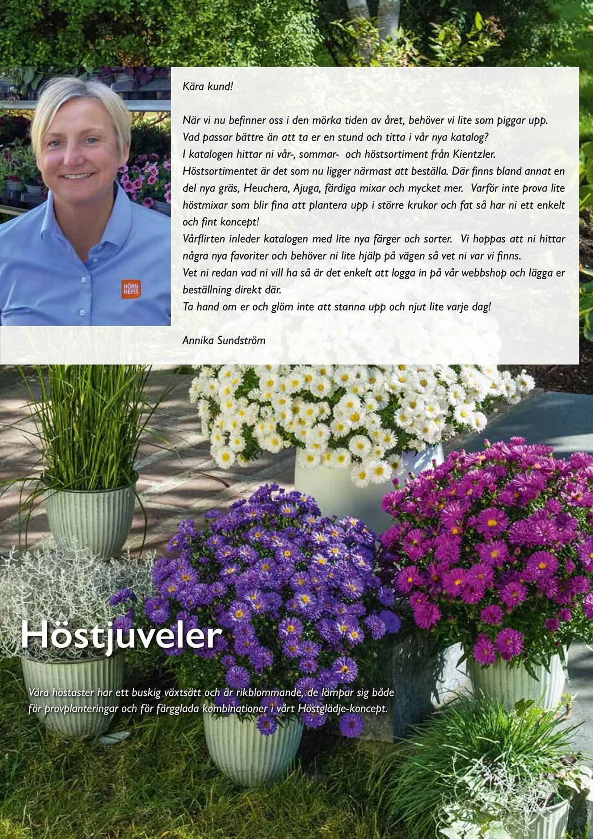 Harald Nyborg reklamblad från 15 februari till 31 december 2024 - Reklamblad sidor 2