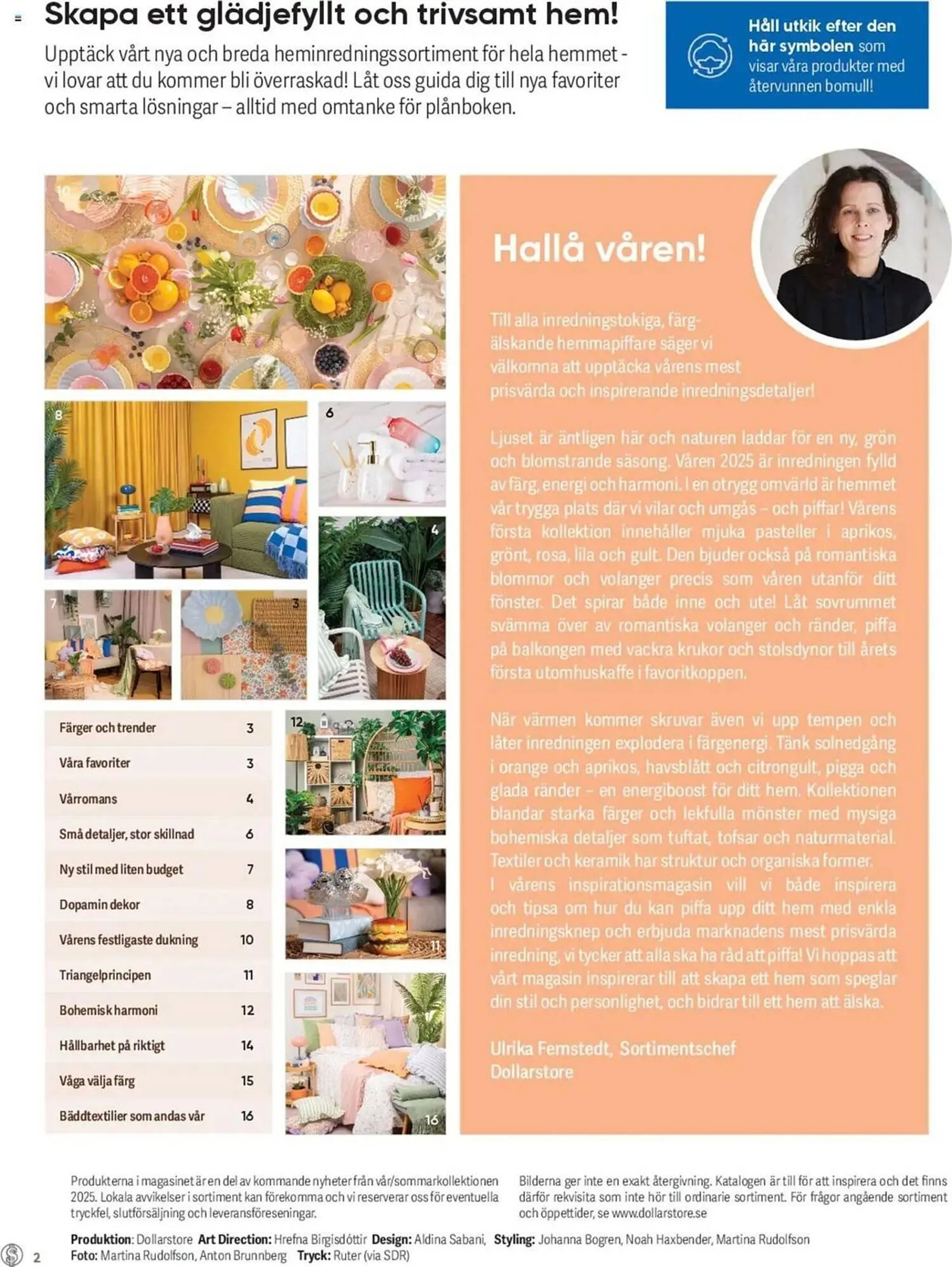 DollarStore reklamblad från 10 mars till 31 mars 2025 - Reklamblad sidor 2