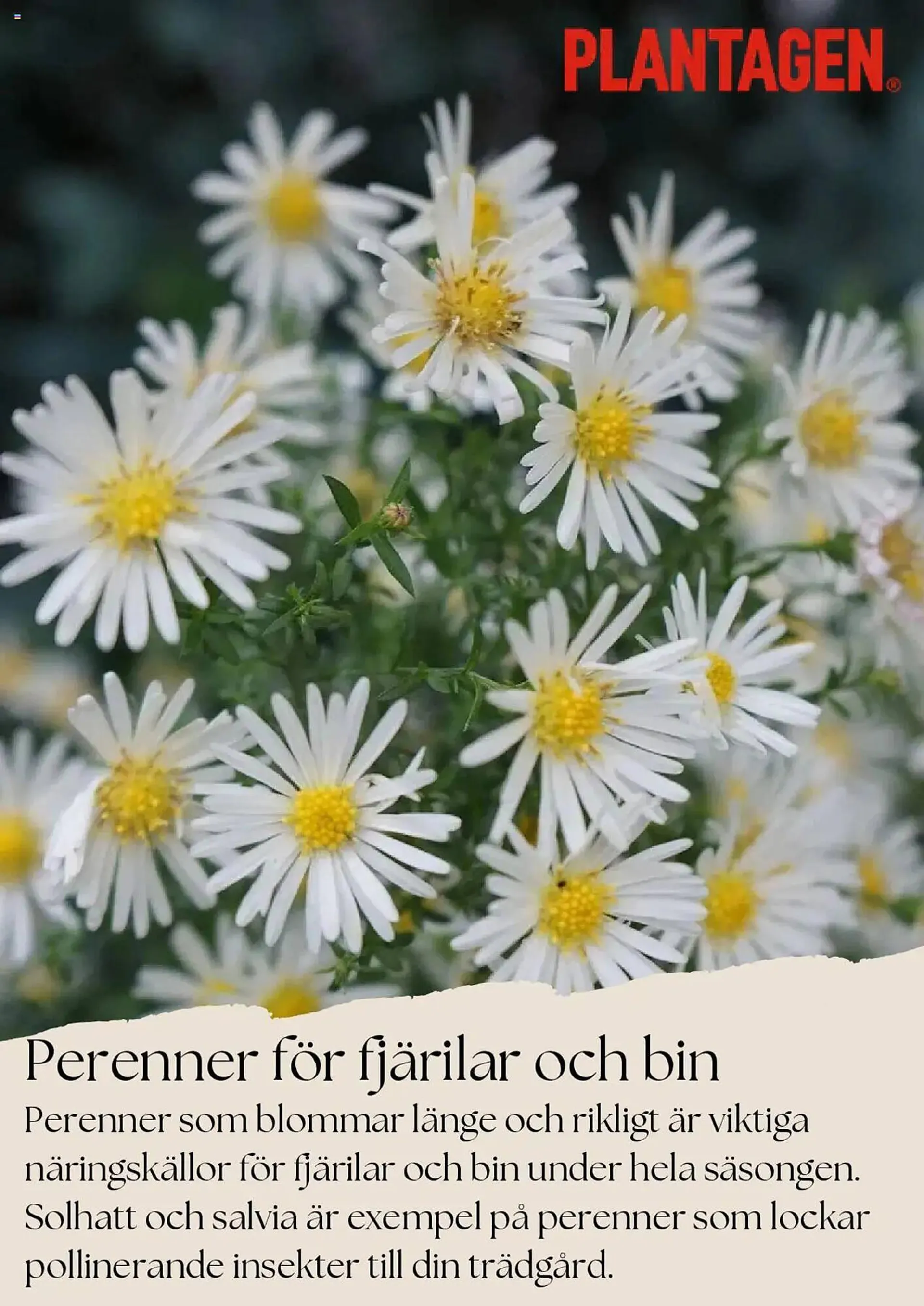 Plantagen reklamblad - 1