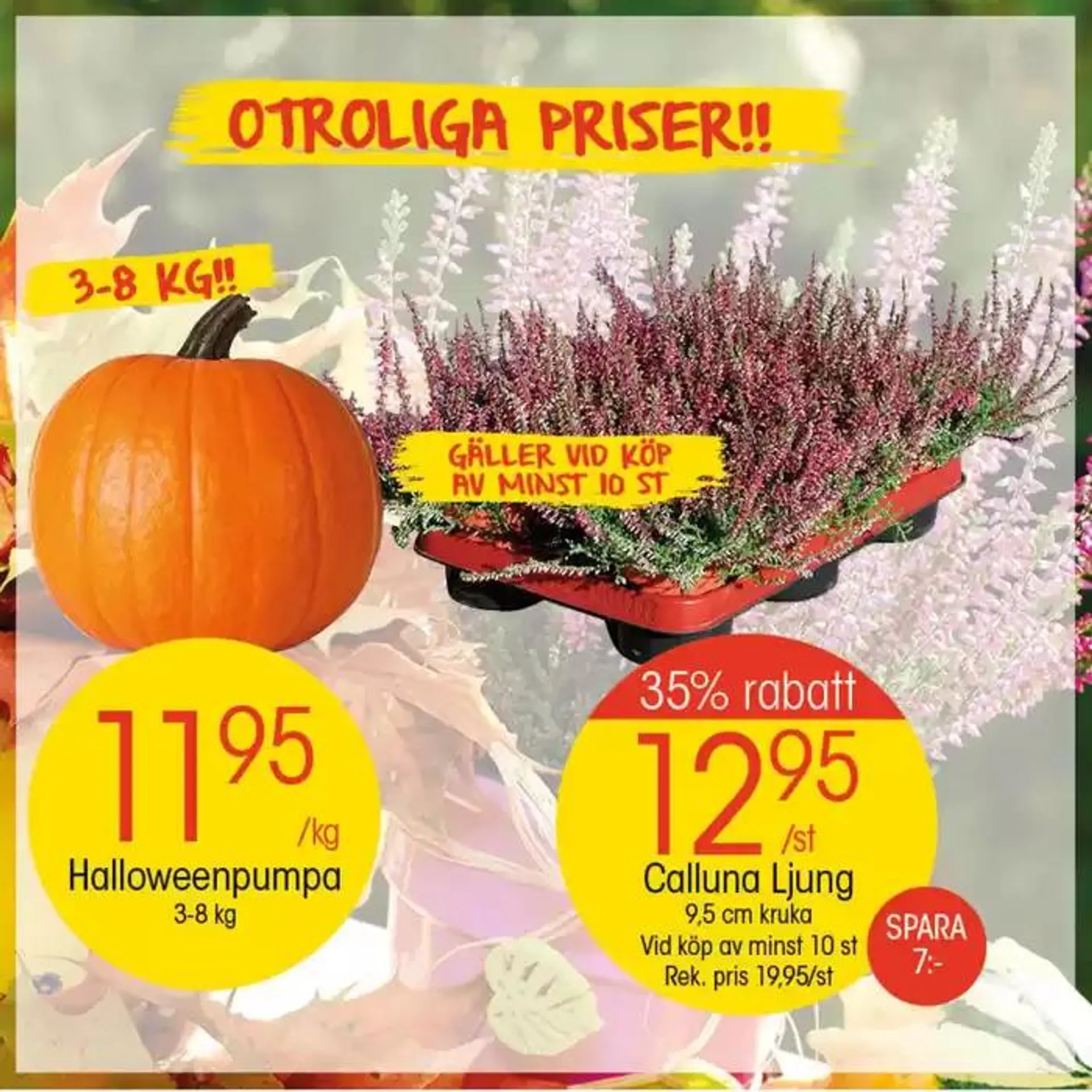 EKO reklamblad från 13 oktober till 27 oktober 2024 - Reklamblad sidor 4