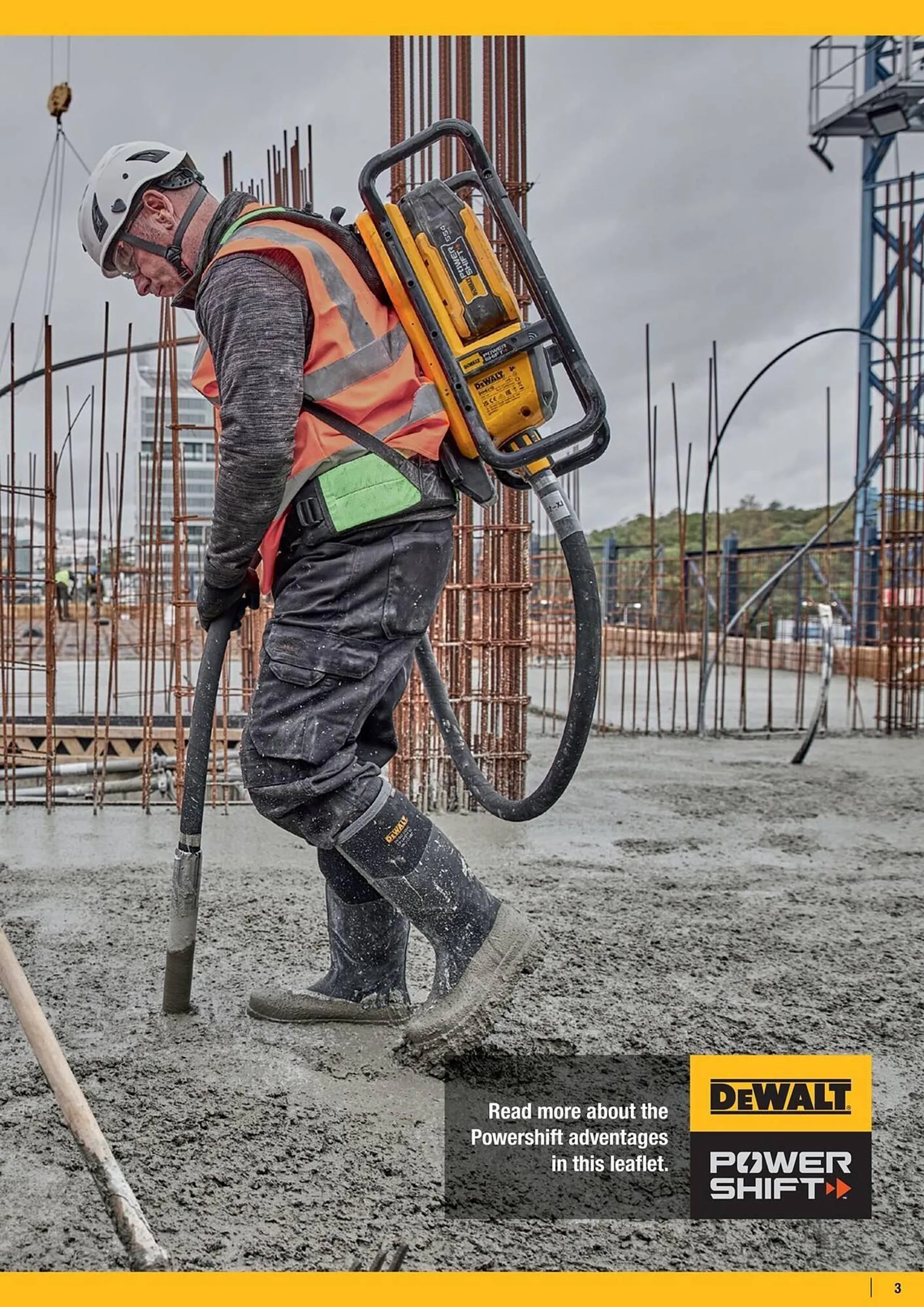 Dewalt reklamblad från 21 mars till 31 maj 2025 - Reklamblad sidor 3