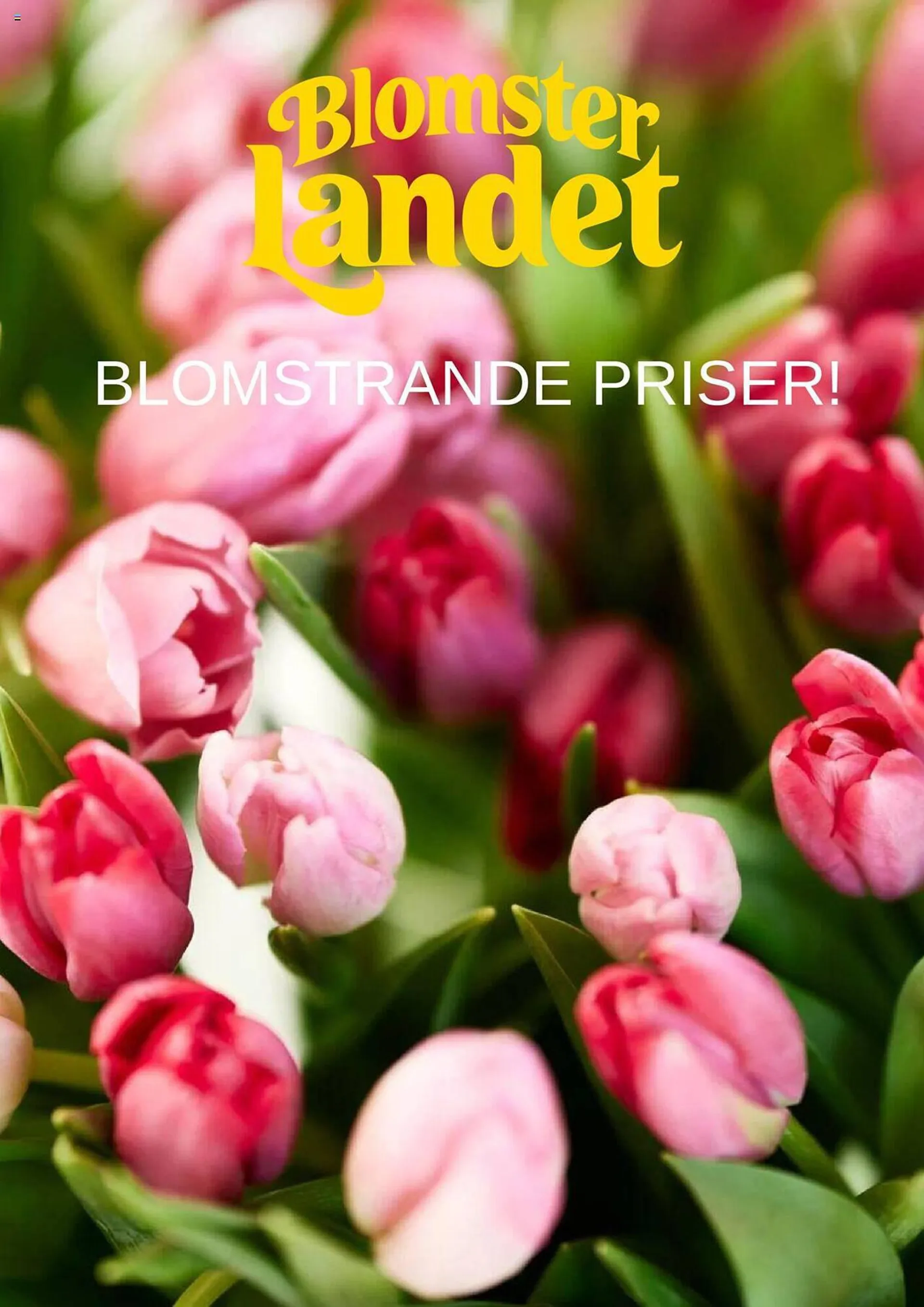 Blomsterlandet reklamblad från 1 april till 7 april 2024 - Reklamblad sidor 