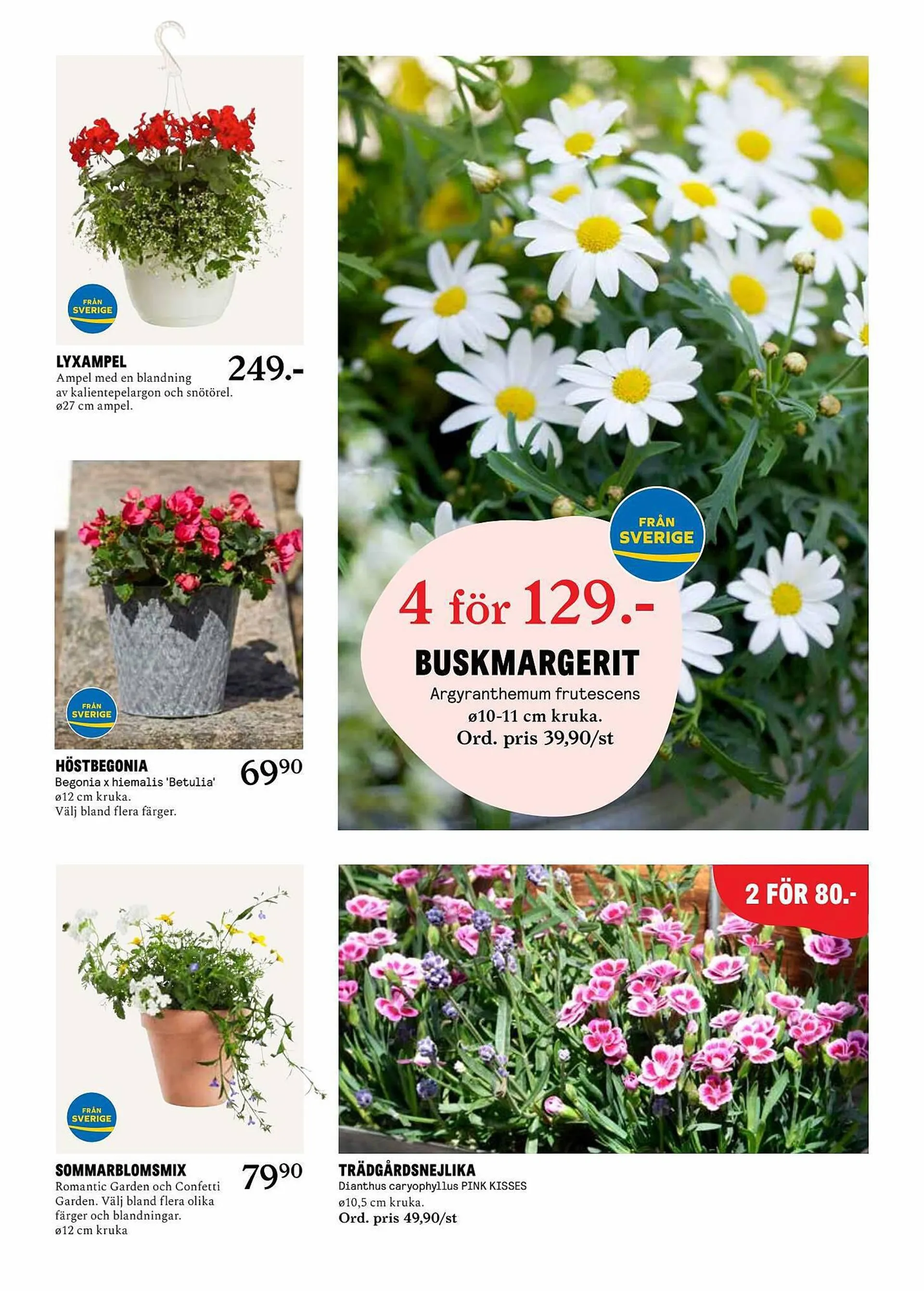 Blomsterlandet reklamblad - 2