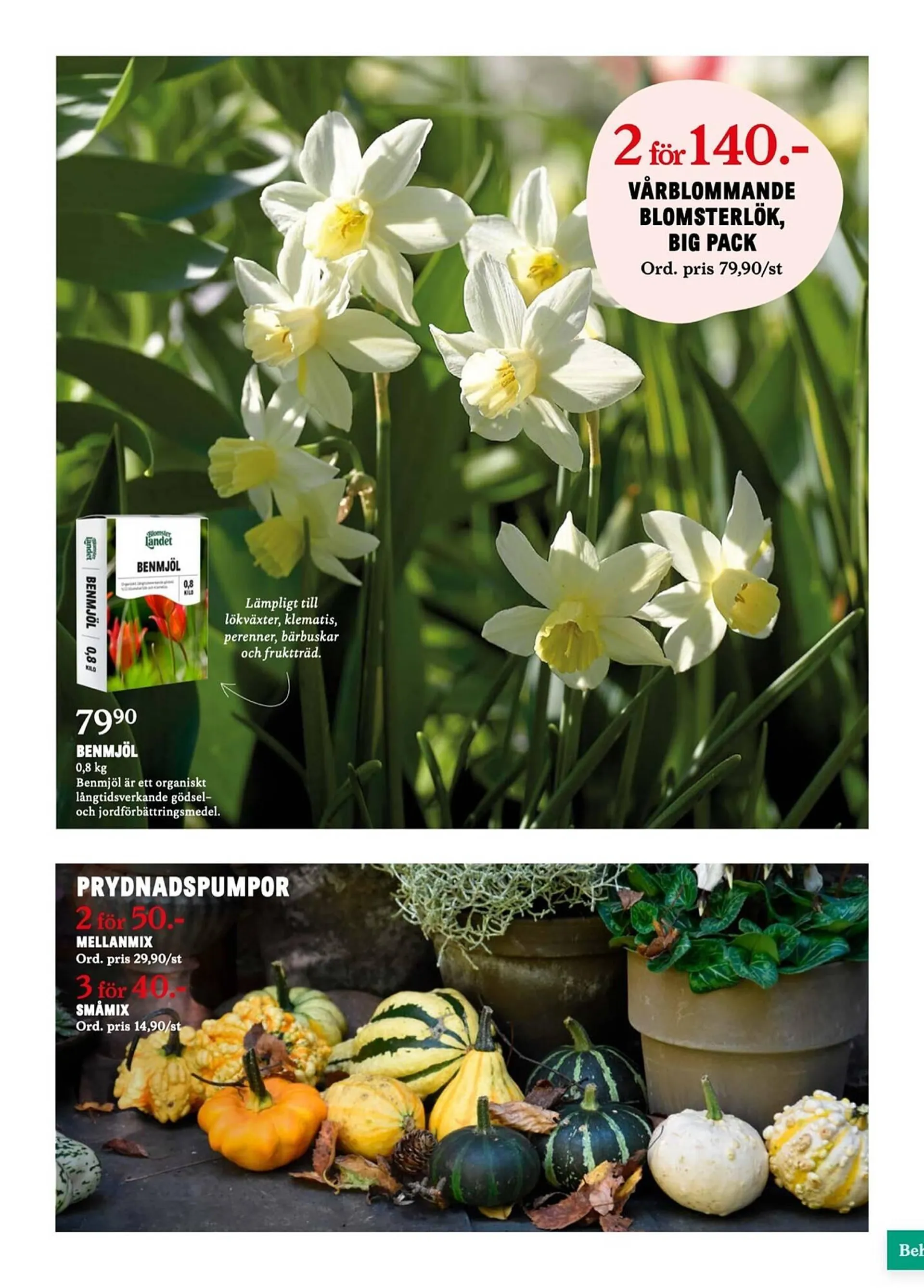 Blomsterlandet reklamblad - 3