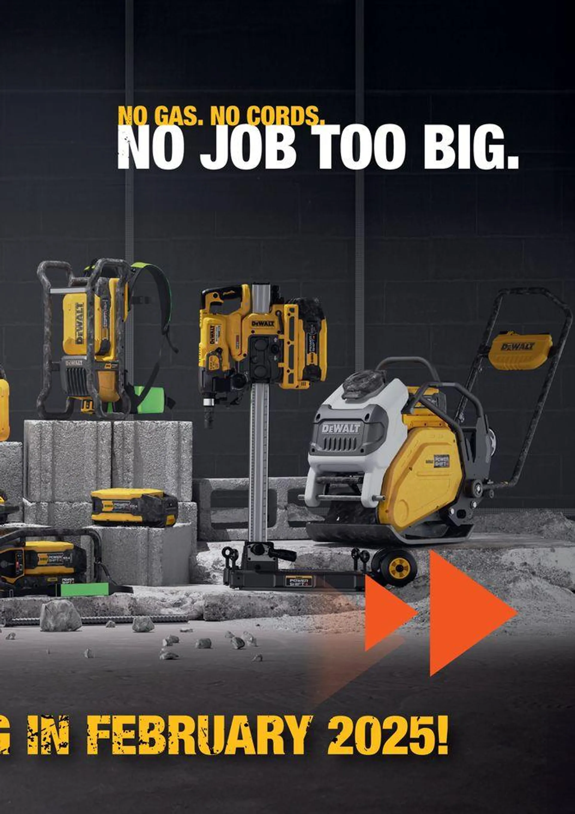 Dewalt reklamblad från 5 juni till 19 juni 2024 - Reklamblad sidor 31