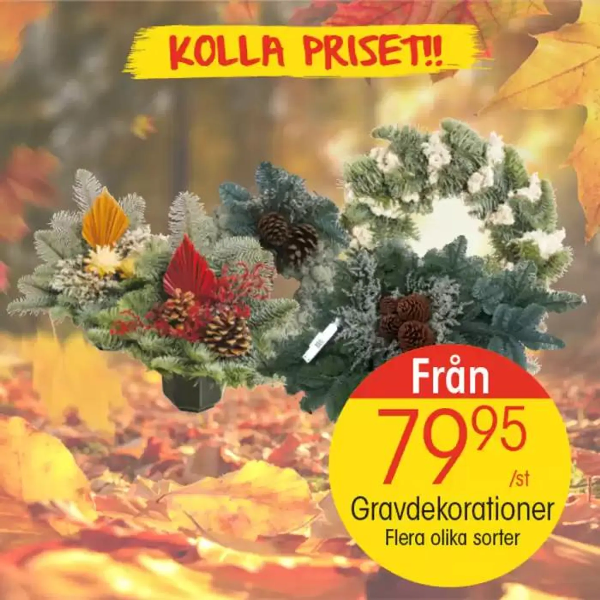 EKO reklamblad från 21 oktober till 4 november 2024 - Reklamblad sidor 1