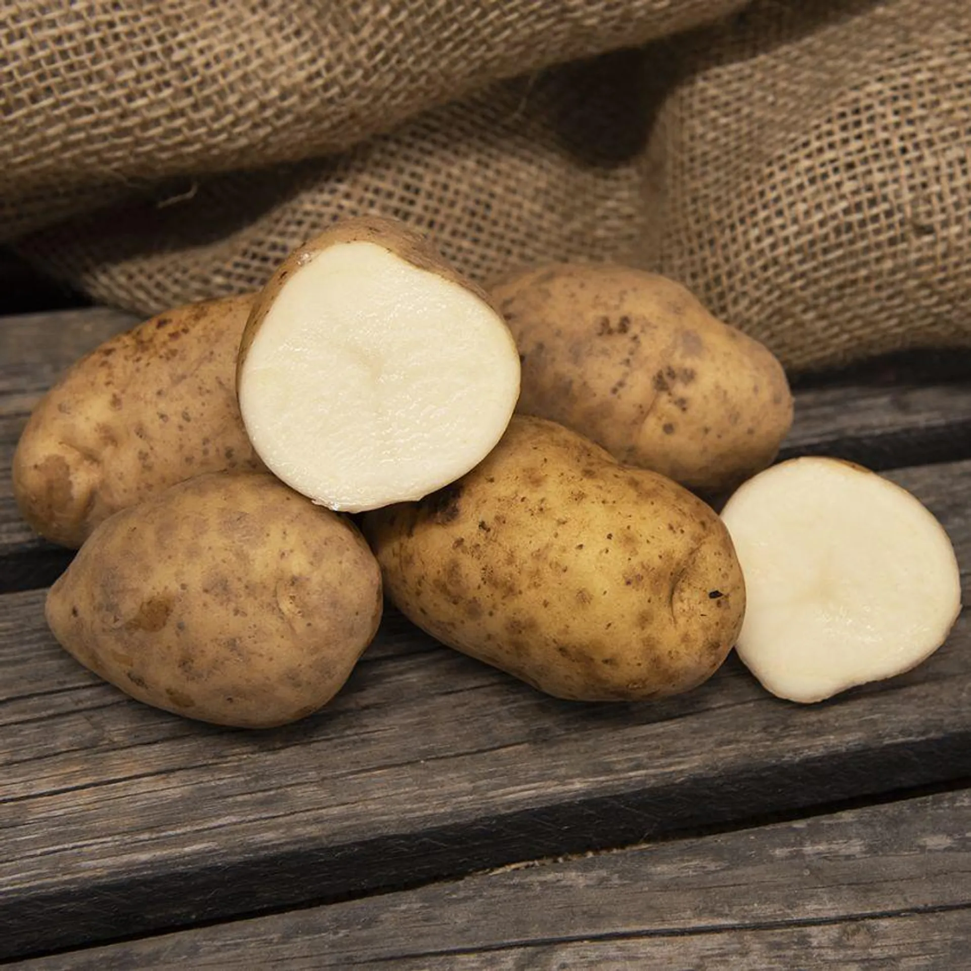 Sättpotatis 'Maris Bard' 1 kg