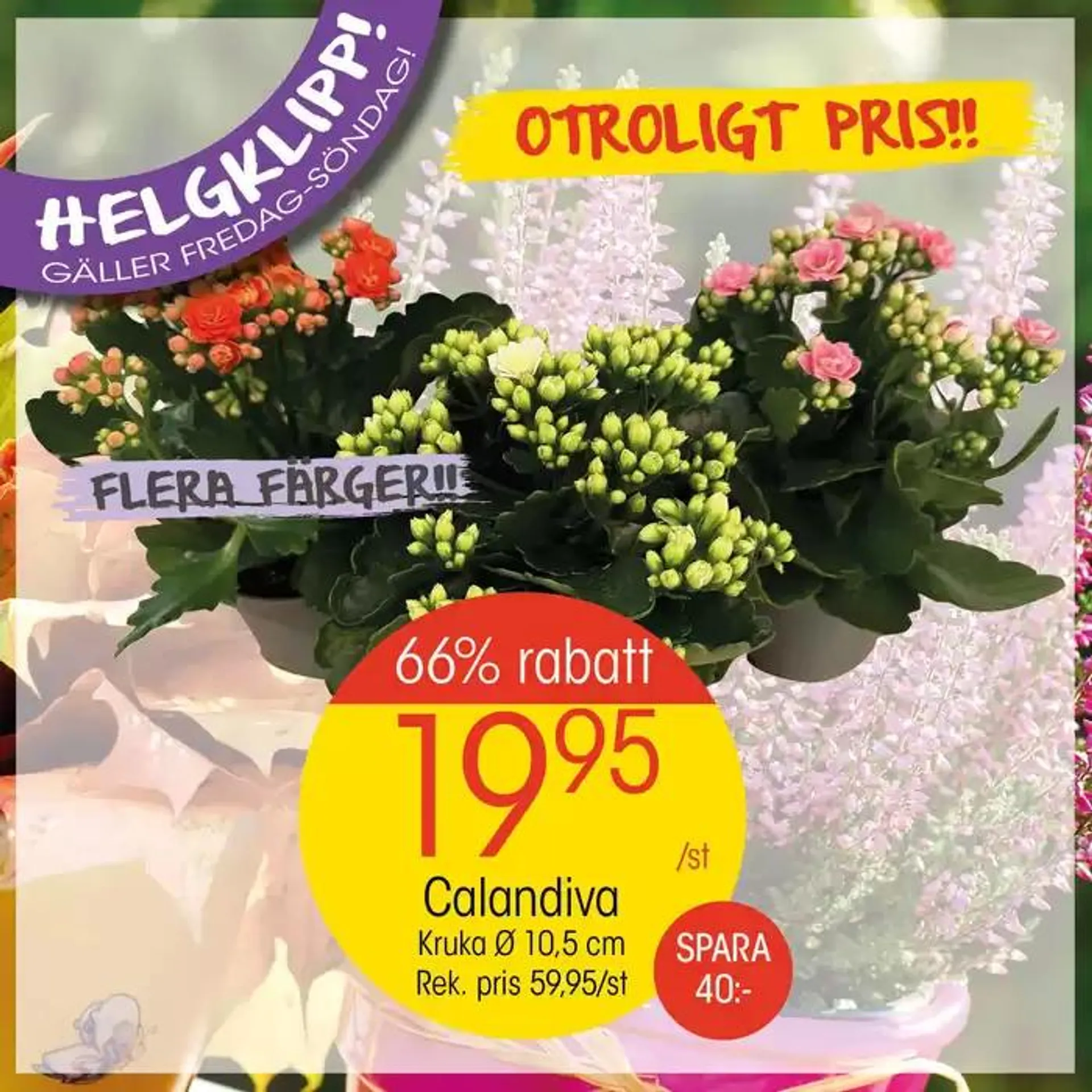 Våra bästa deals för dig från 2 november till 16 november 2024 - Reklamblad sidor 1