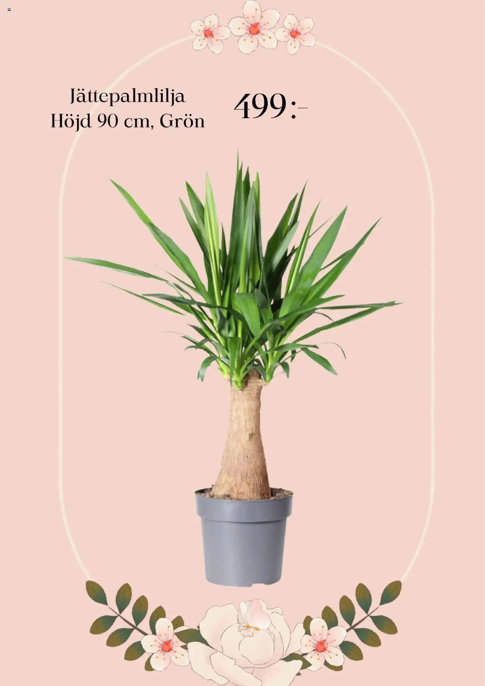 Plantagen - erbjudanden från 1 september till 31 december 2024 - Reklamblad sidor 3