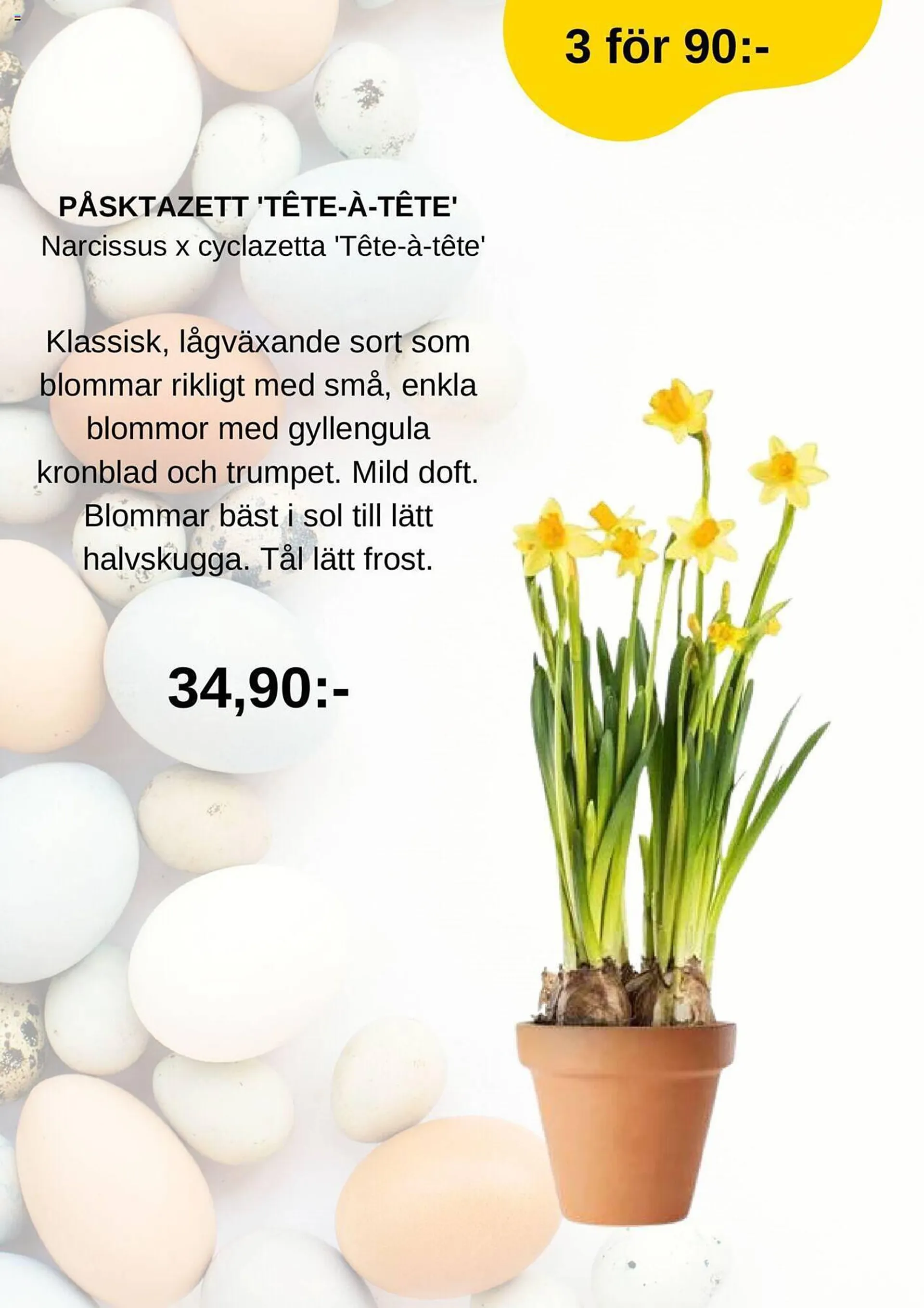 Blomsterlandet reklamblad från 25 mars till 31 mars 2024 - Reklamblad sidor 2