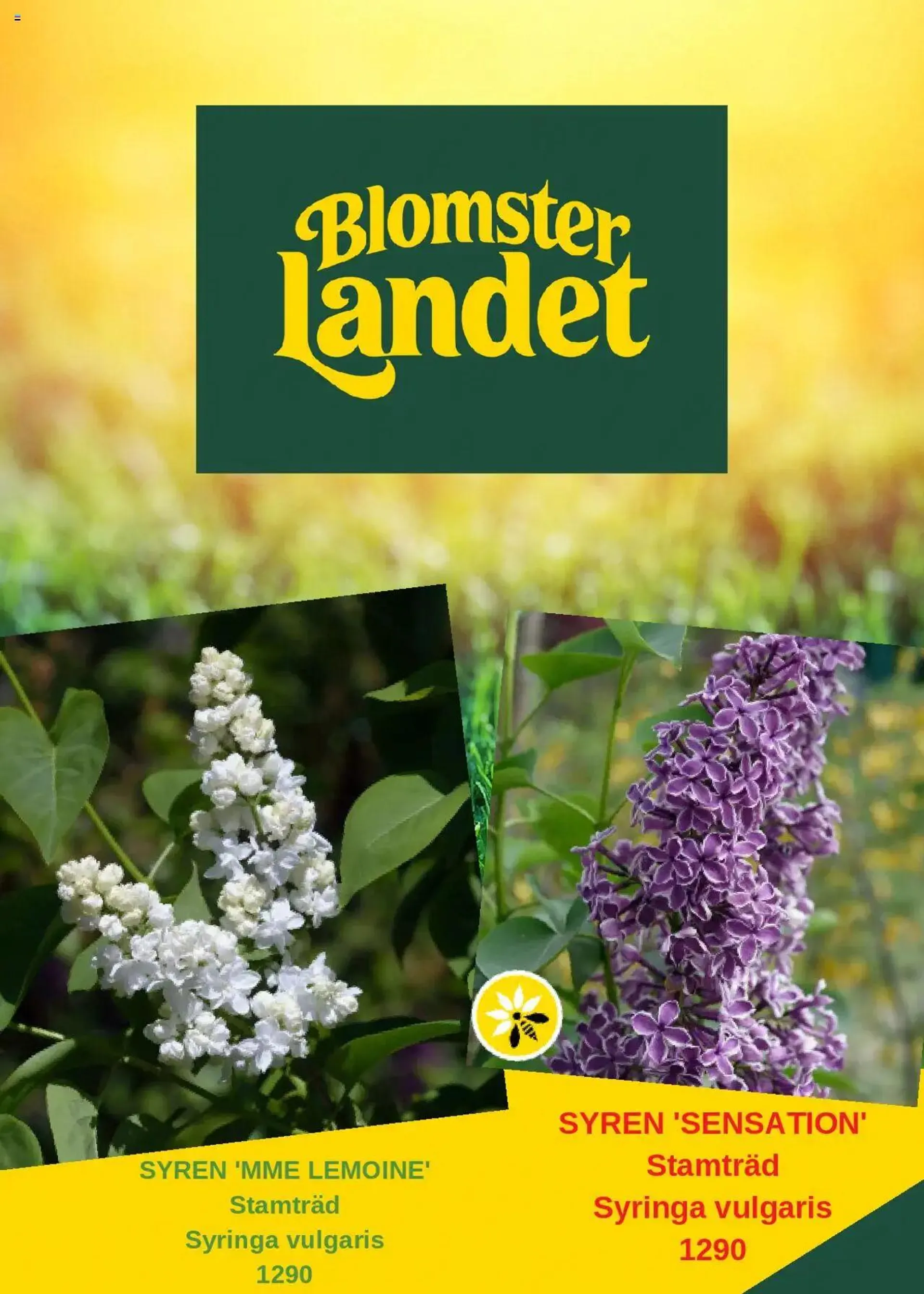 Blomsterlandet - erbjudanden - 0