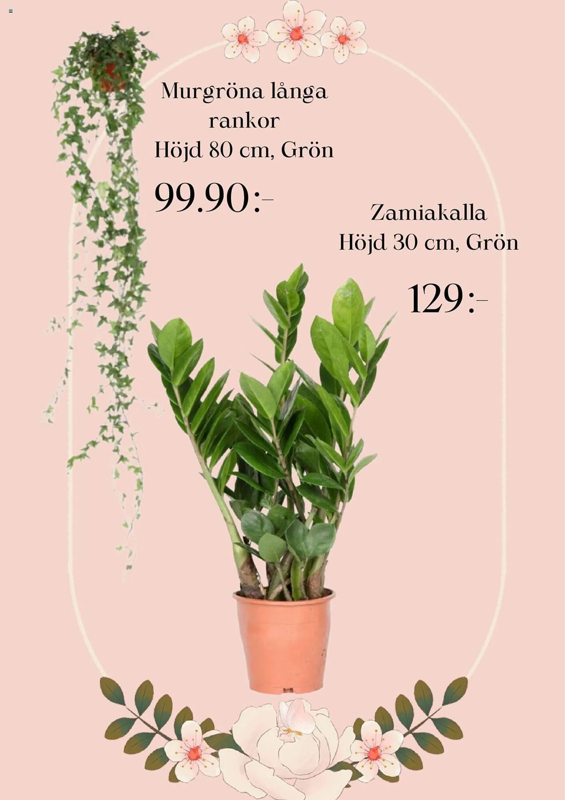 Plantagen reklamblad från 2 september till 8 september 2024 - Reklamblad sidor 4