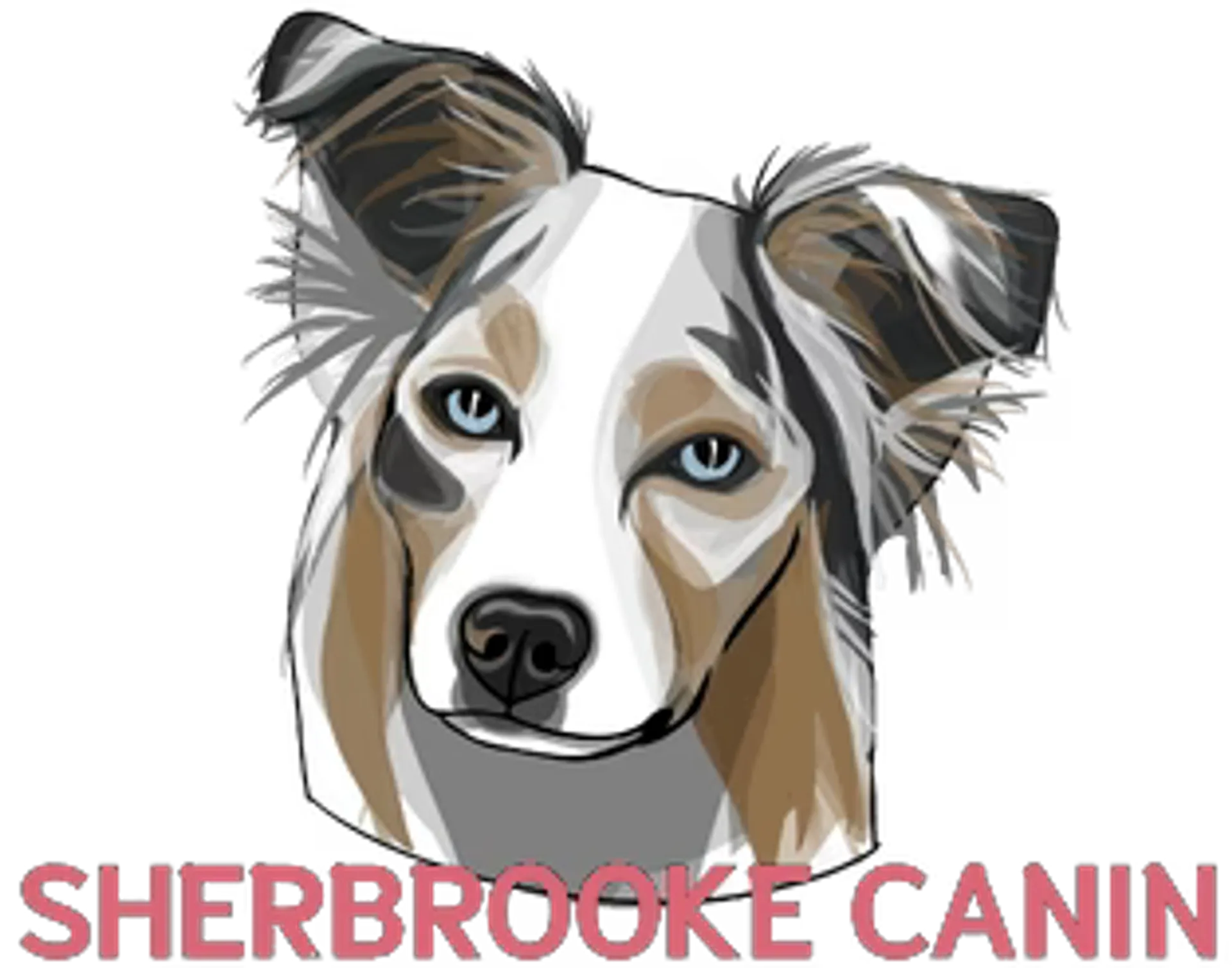 SHERBROOKE CANIN logo de circulaire
