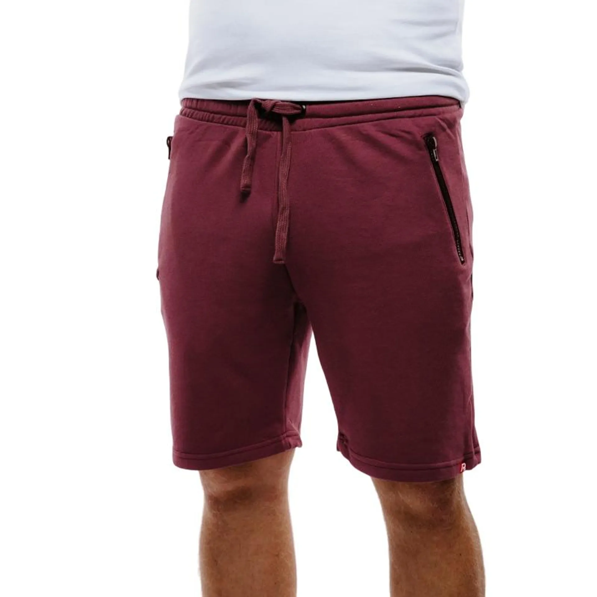 TS-BASIC bordo