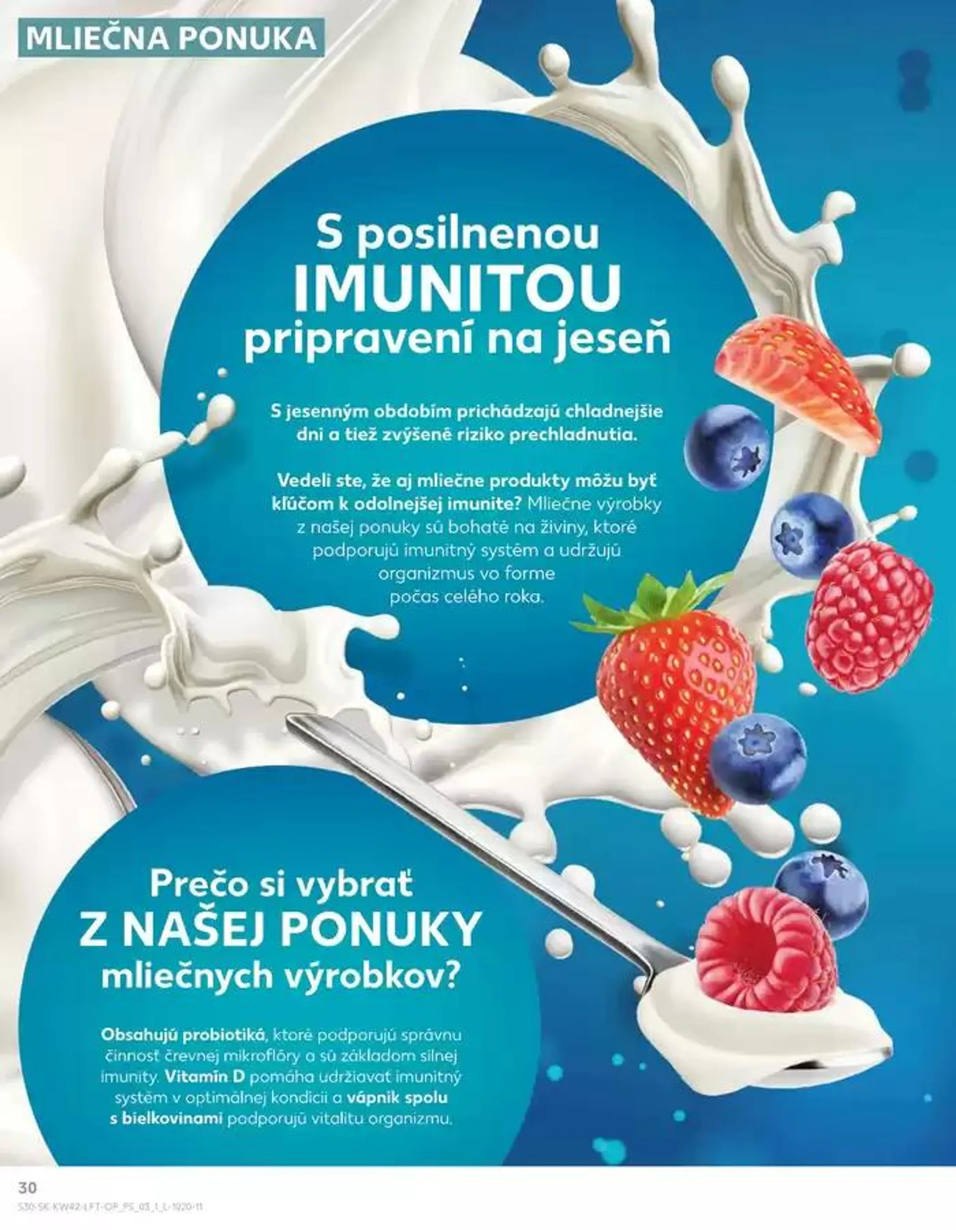 Leták: Najlepšie ponuky pre všetkých zákazníkov od 17. októbra do 23. októbra 2024 - Prehľad Stránky 30