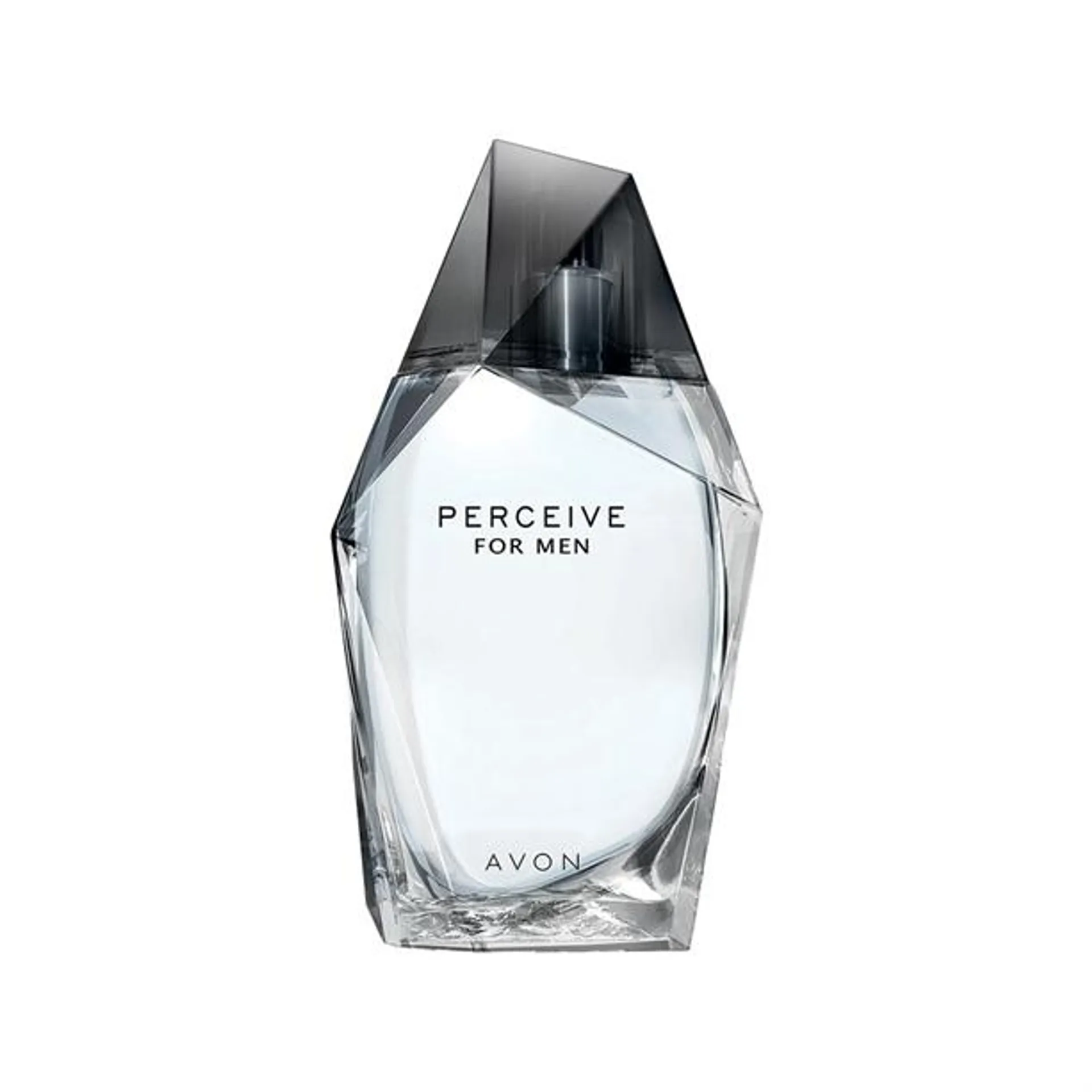 Perceive for Him EDT - 100 ml