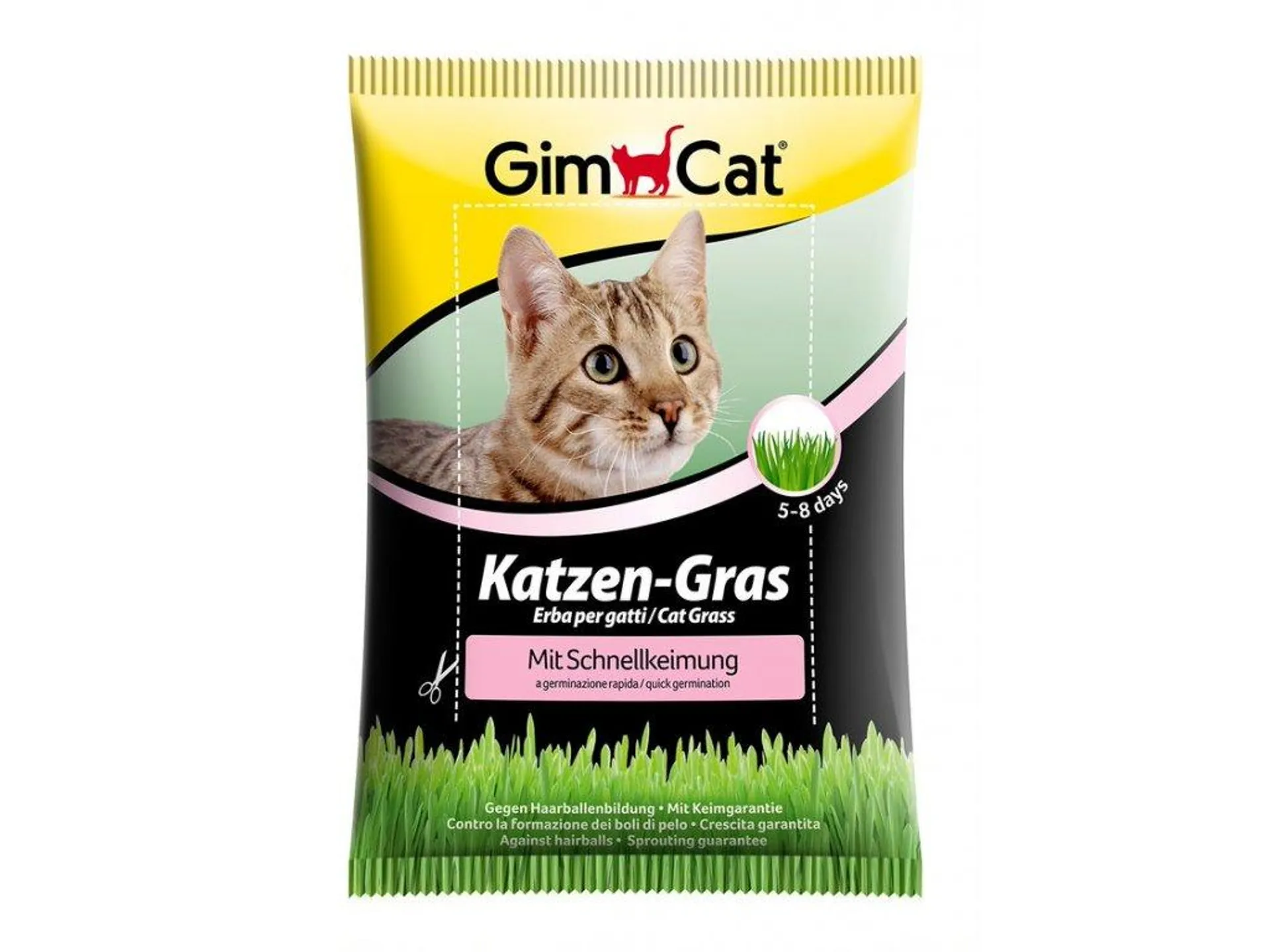 Gimpet Katzen-Gras mačacia tráva 100g