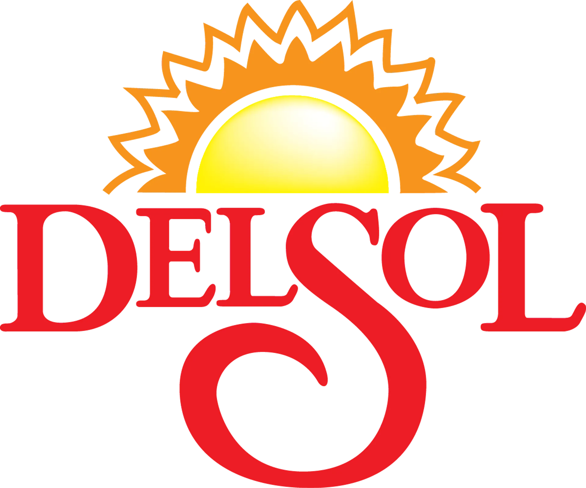 DEL SOL logo