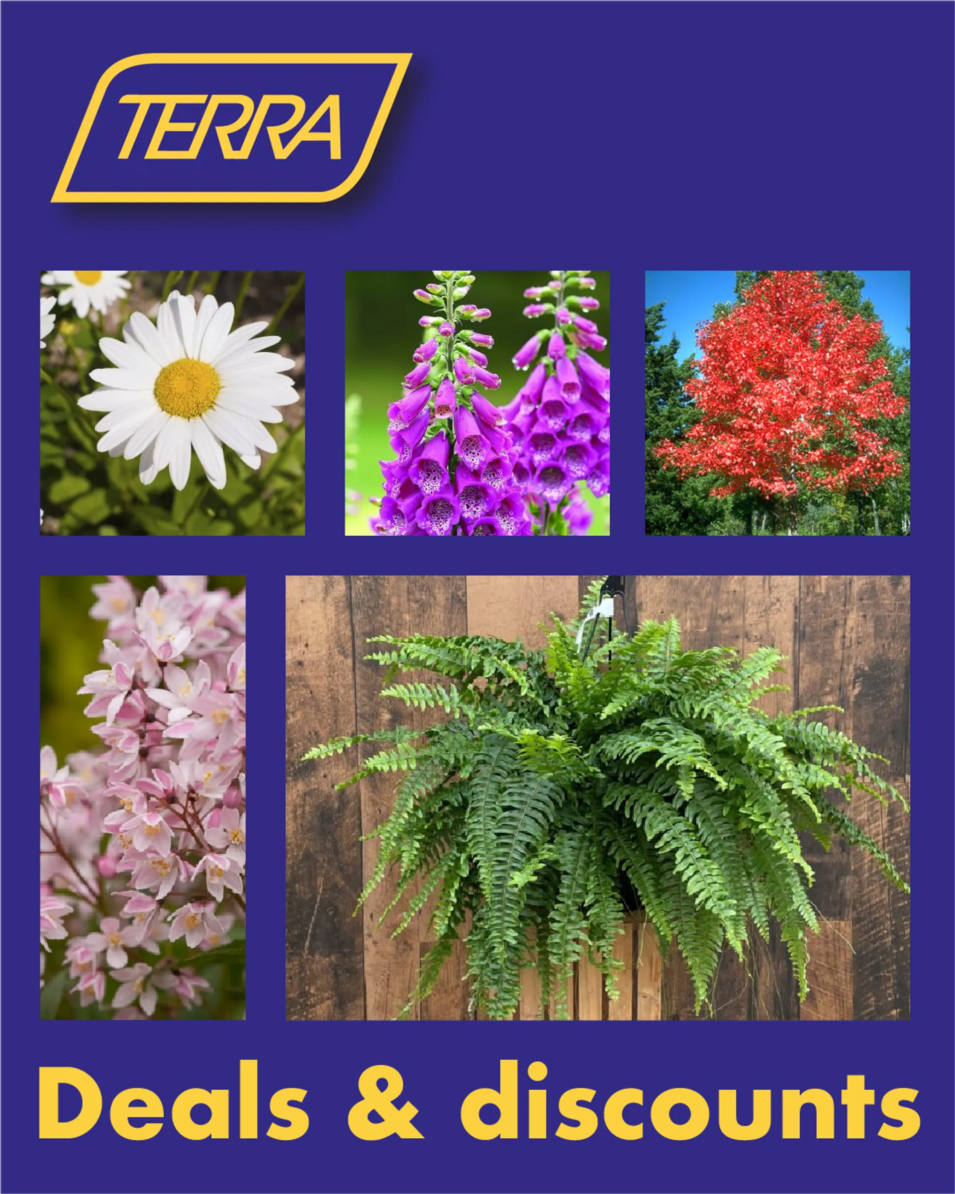 Weekly ads from June 11 to June 30 2025 - flyer page 1