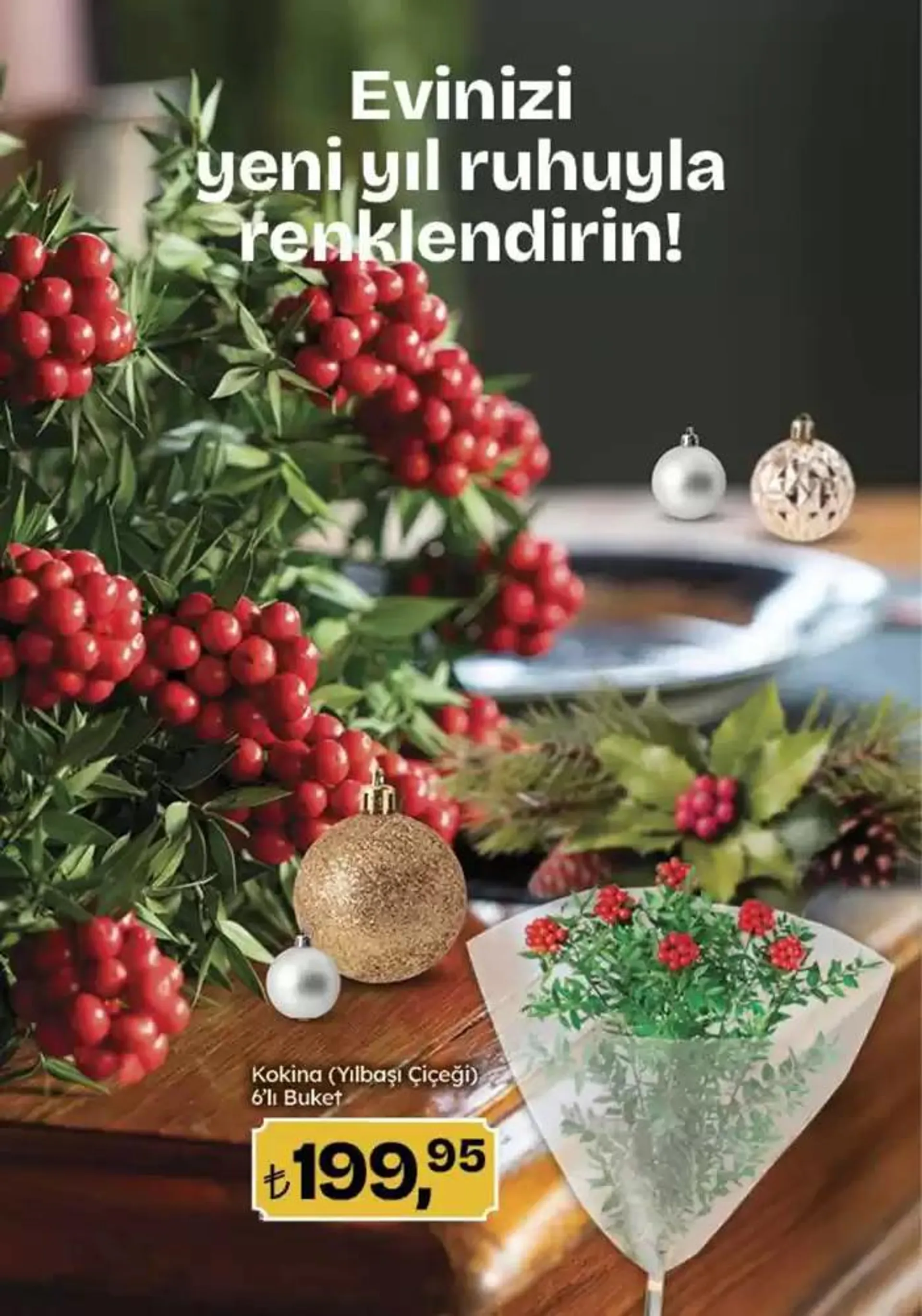 Katalog Güncel fırsatlar ve teklifler 17 Aralık - 31 Aralık 2024 - aktüel Sayfa 16