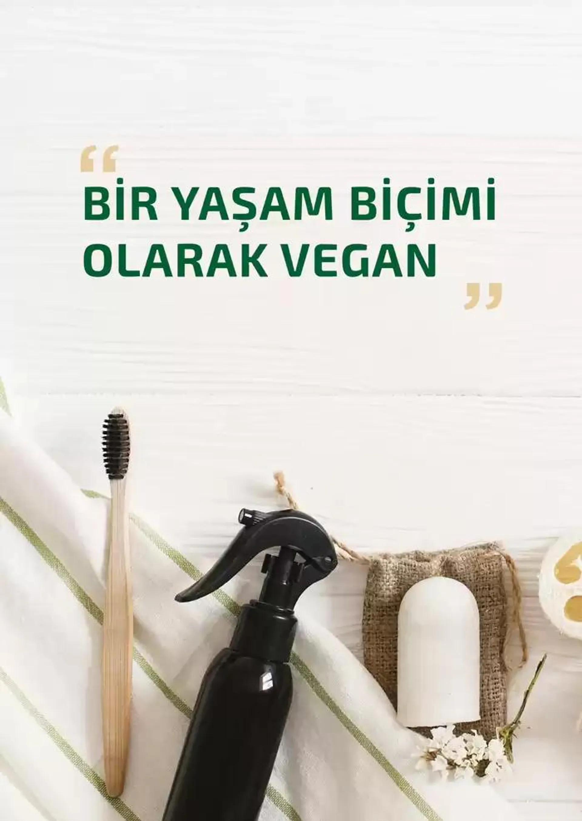 Katalog Bitki Bazlı ve Vegan 24 Ekim - 7 Kasım 2024 - aktüel Sayfa 62