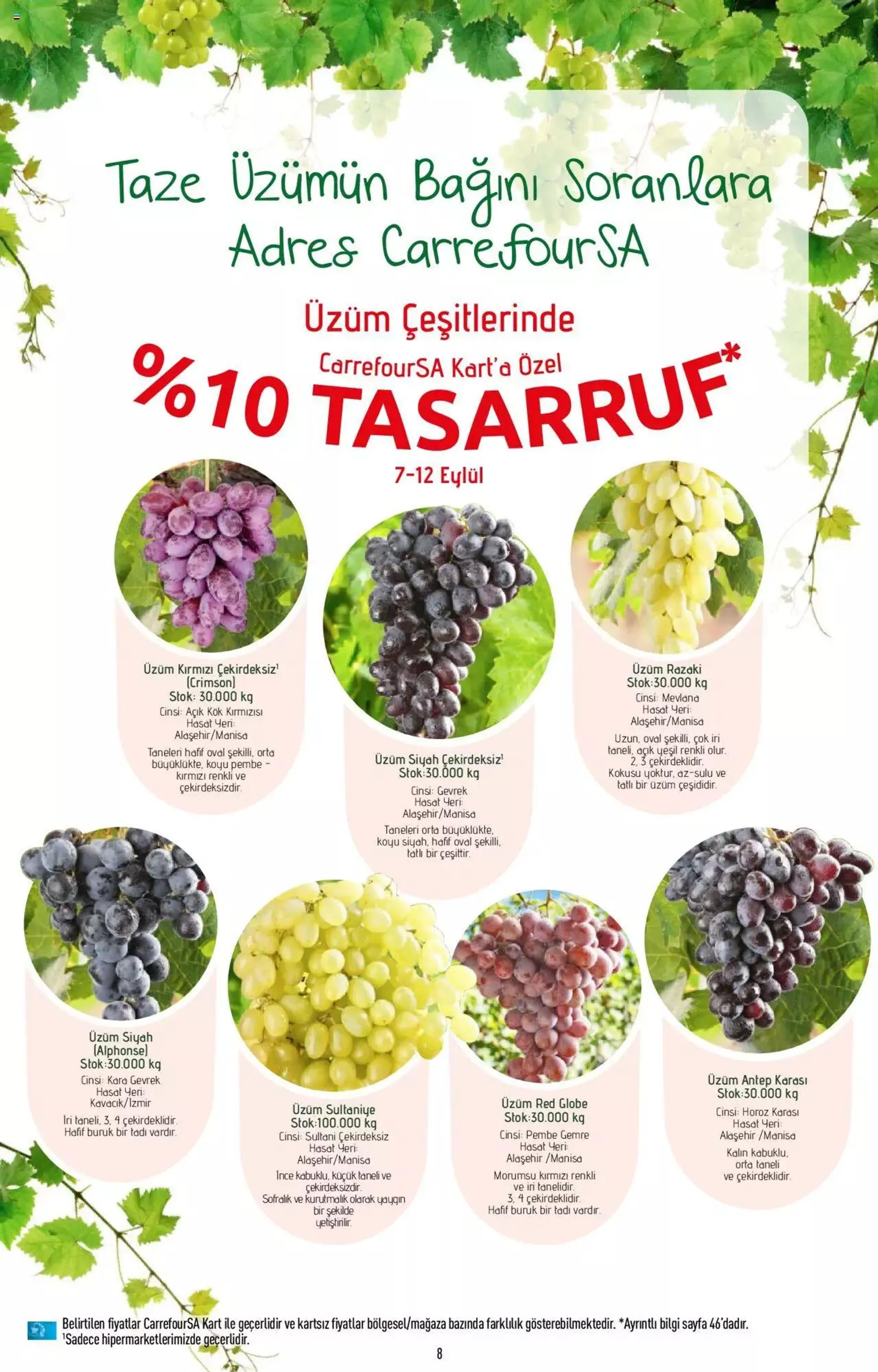 CarrefourSA Katalog - 7