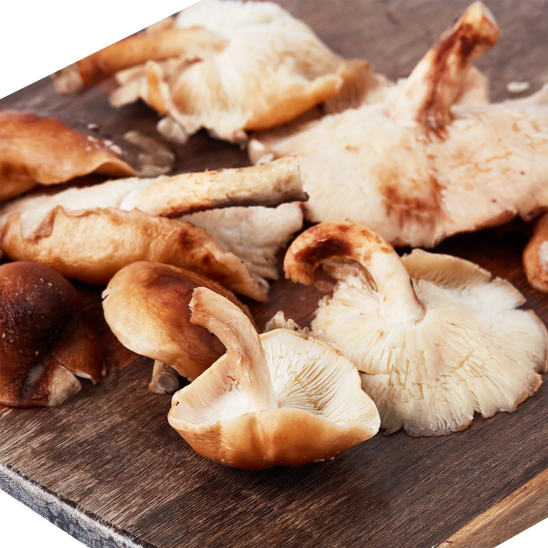 Shiitake Mantarı 200 G Paket