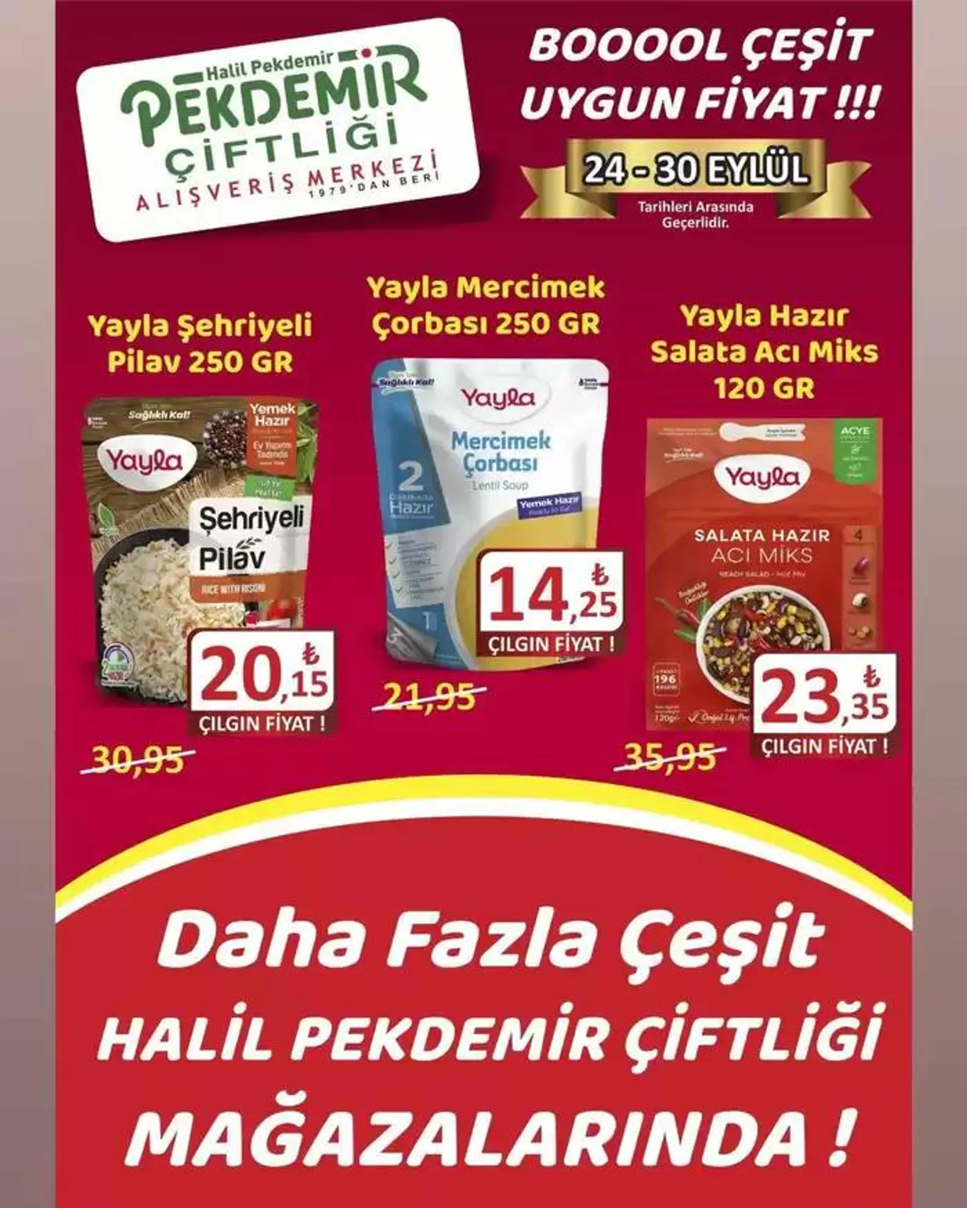 Katalog Güncel fırsatlar ve teklifler 25 Eylül - 9 Ekim 2024 - aktüel Sayfa 4