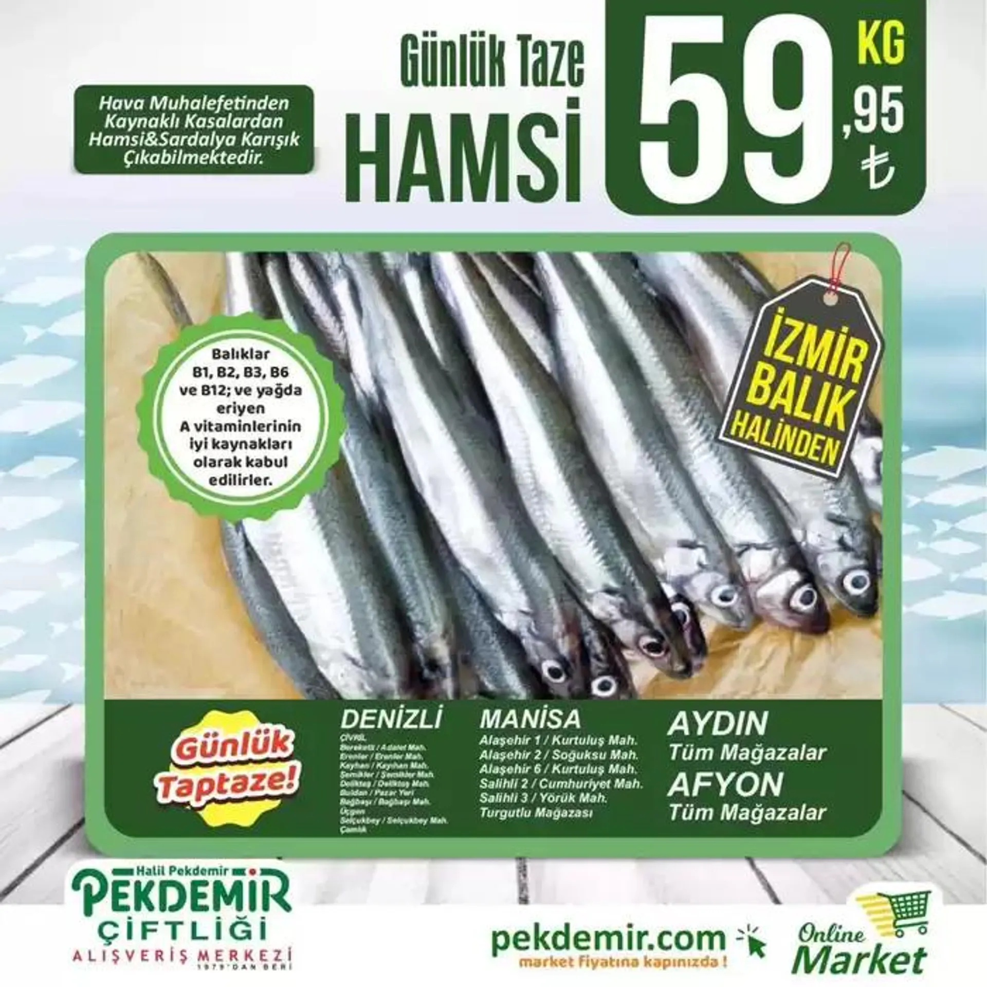 Pekdemir katalog - 1