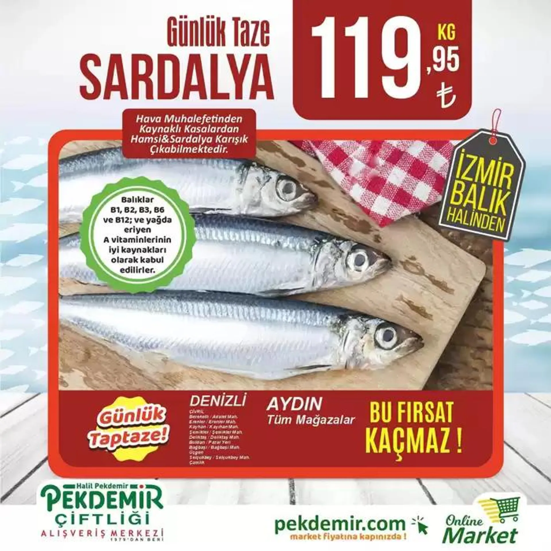 Pekdemir katalog - 1