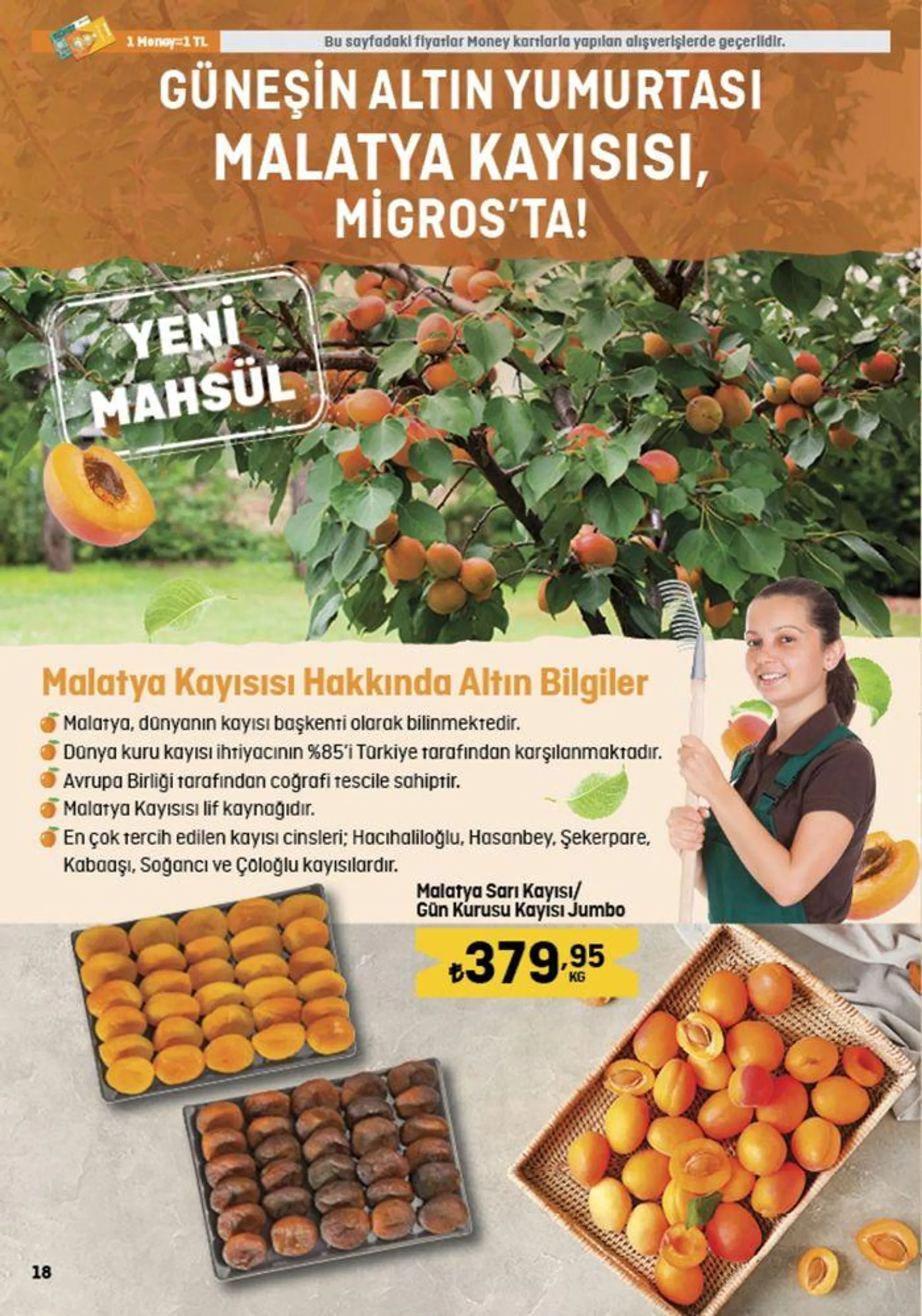 Katalog Güncel fırsatlar ve teklifler 29 Ağustos - 11 Eylül 2024 - aktüel Sayfa 18