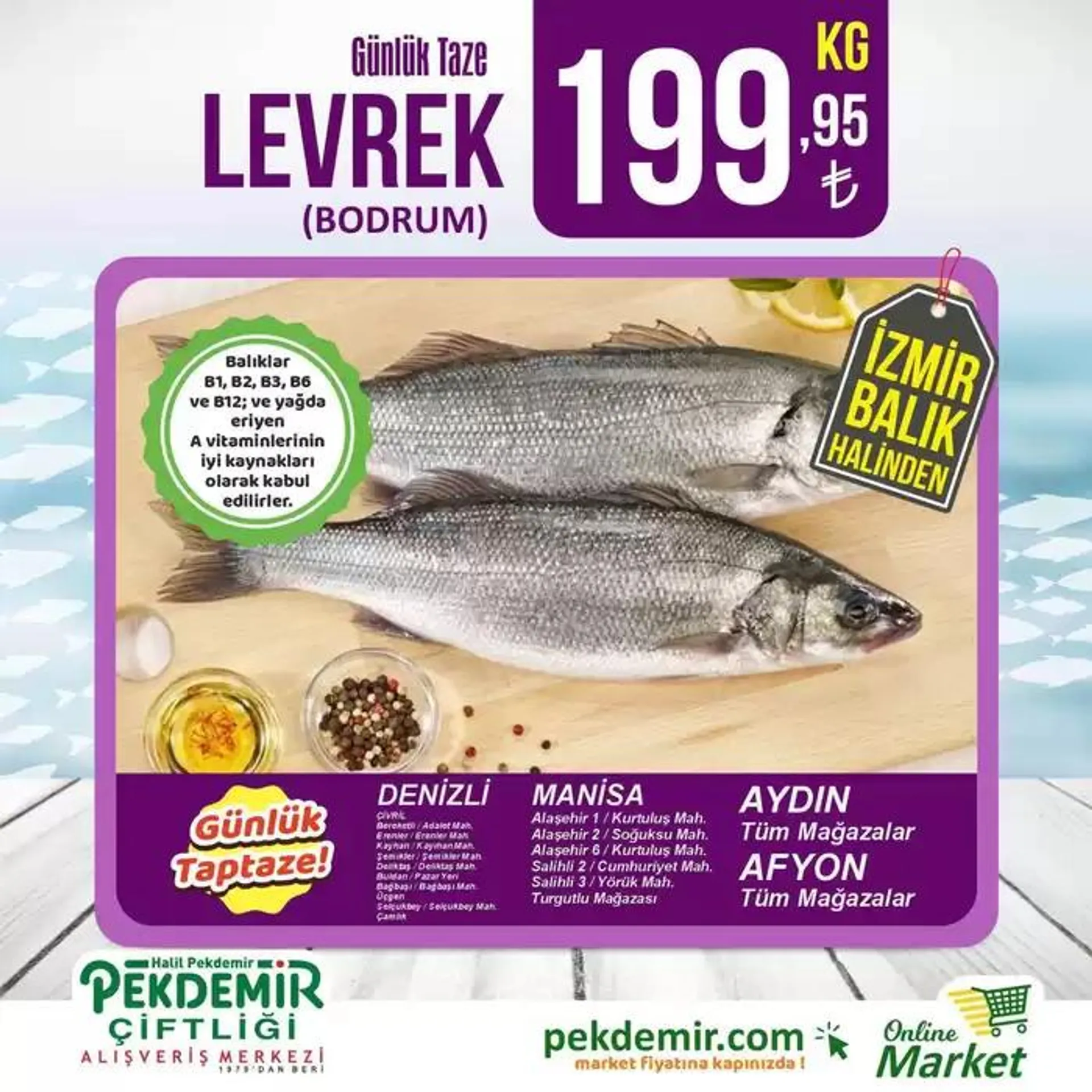 Pekdemir katalog - 3