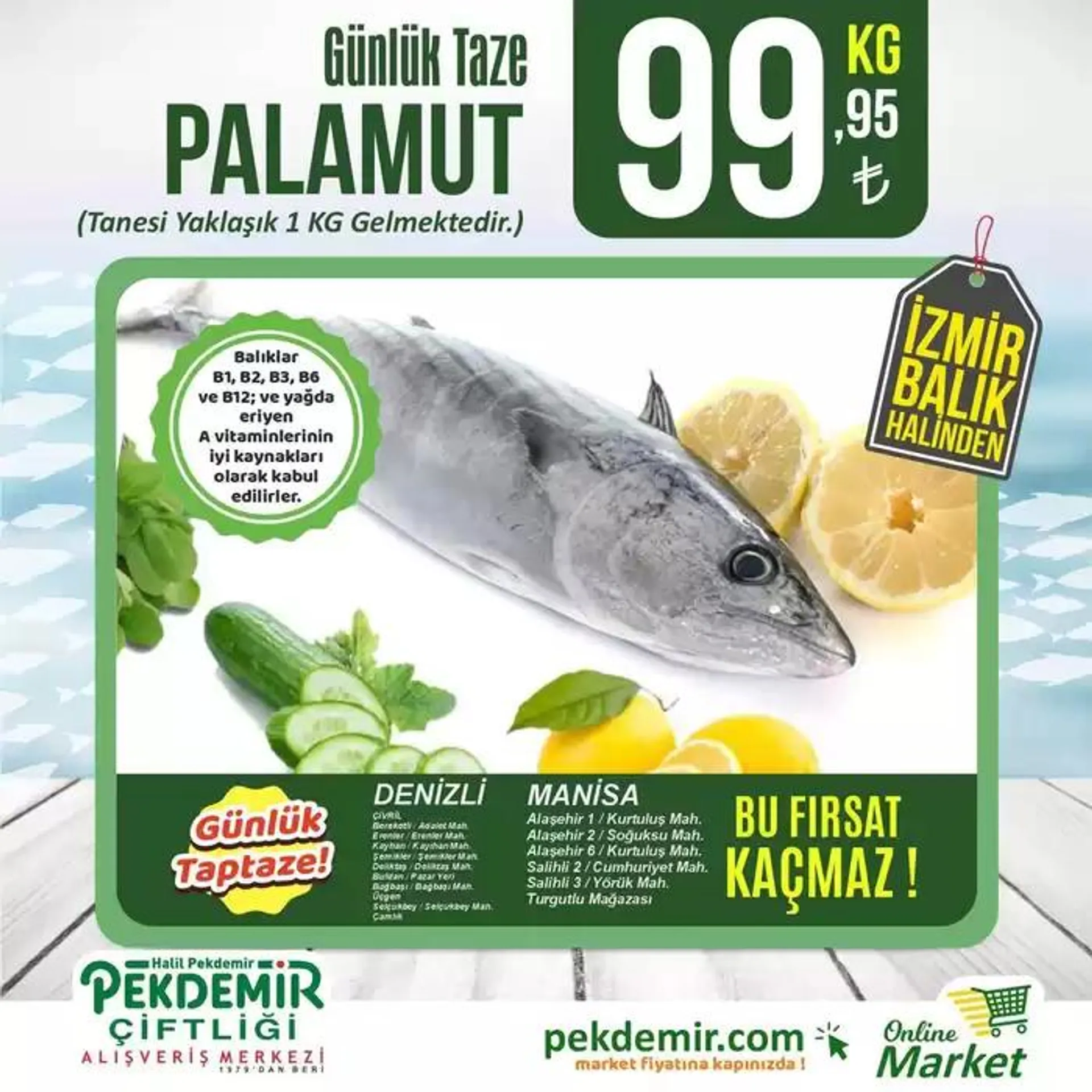 Pekdemir katalog - 1