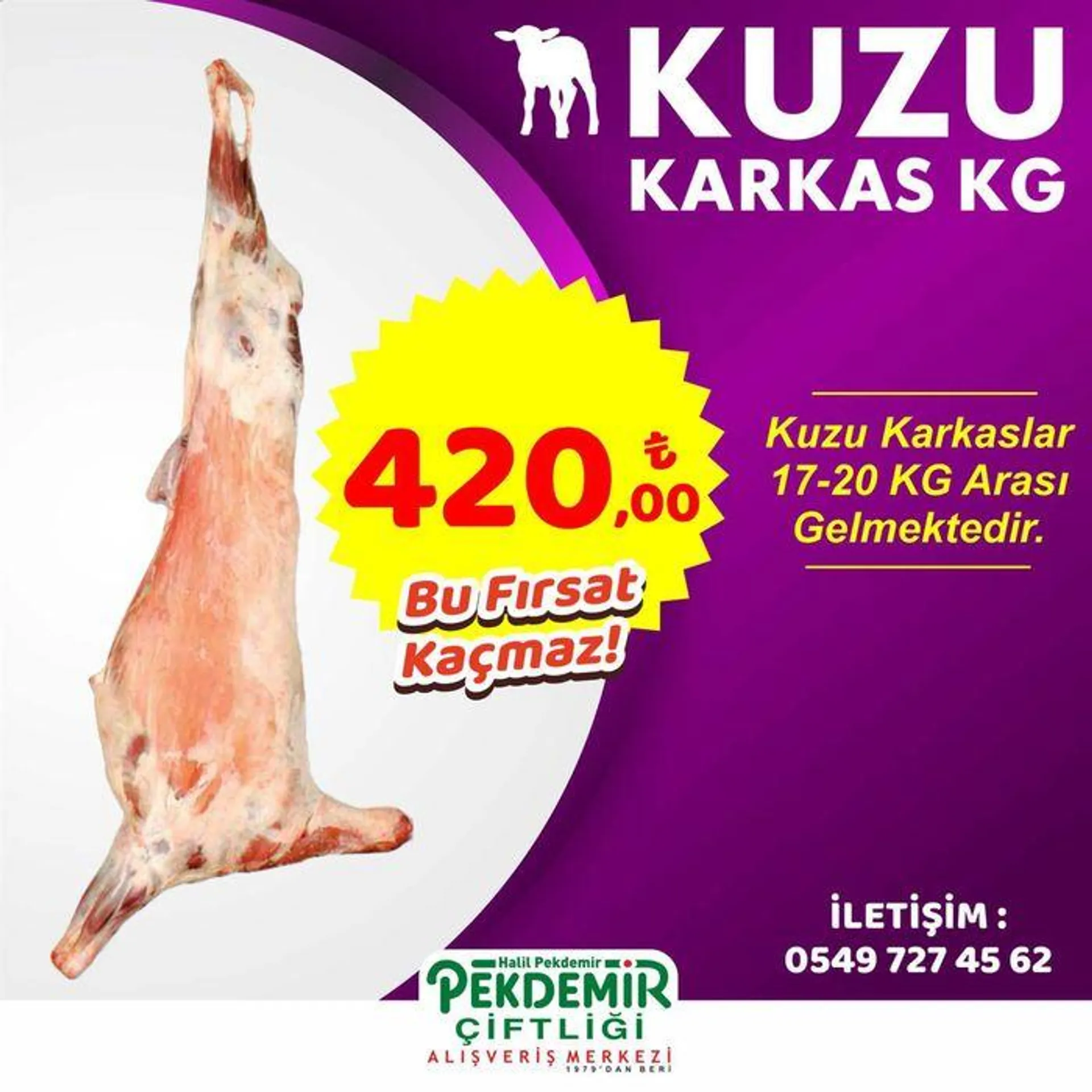 Katalog DANA KARKAS KG 18 Eylül - 2 Ekim 2024 - aktüel Sayfa 2