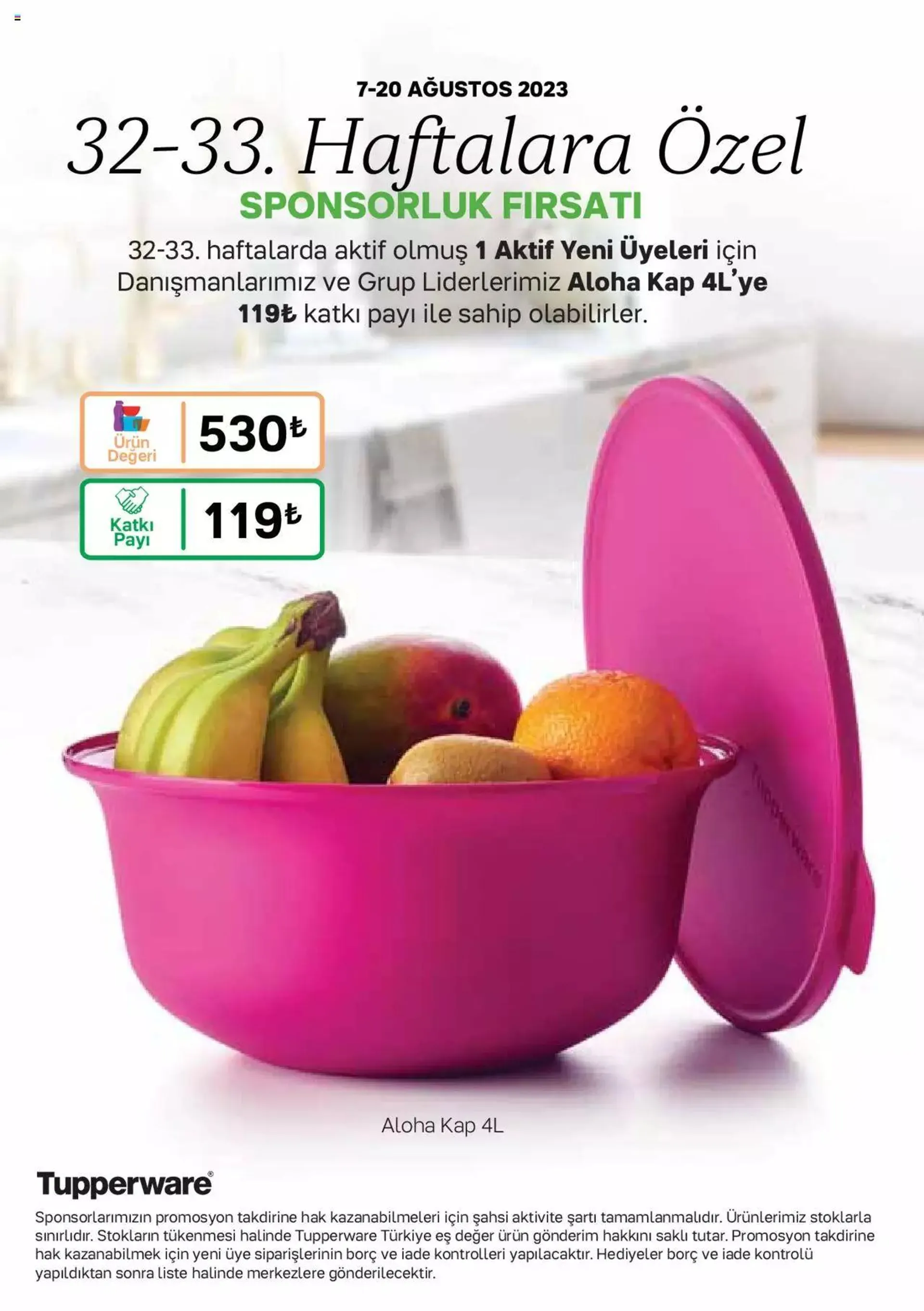 Katalog Tupperware Katalog 7 Ağustos - 3 Eylül 2023 - aktüel Sayfa 43