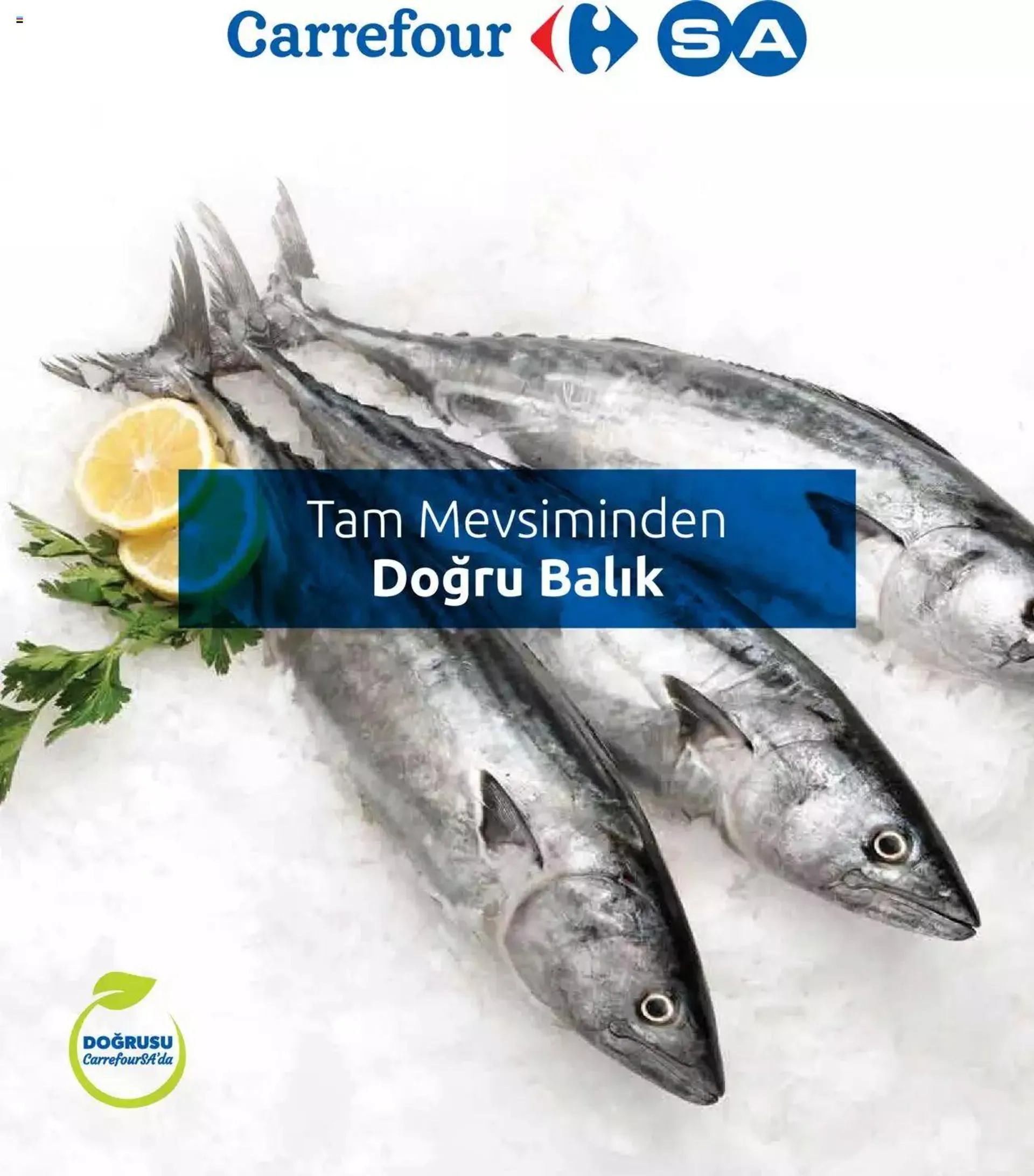 CarrefourSA Katalog - Tam Mevsiminden Doğru Balık