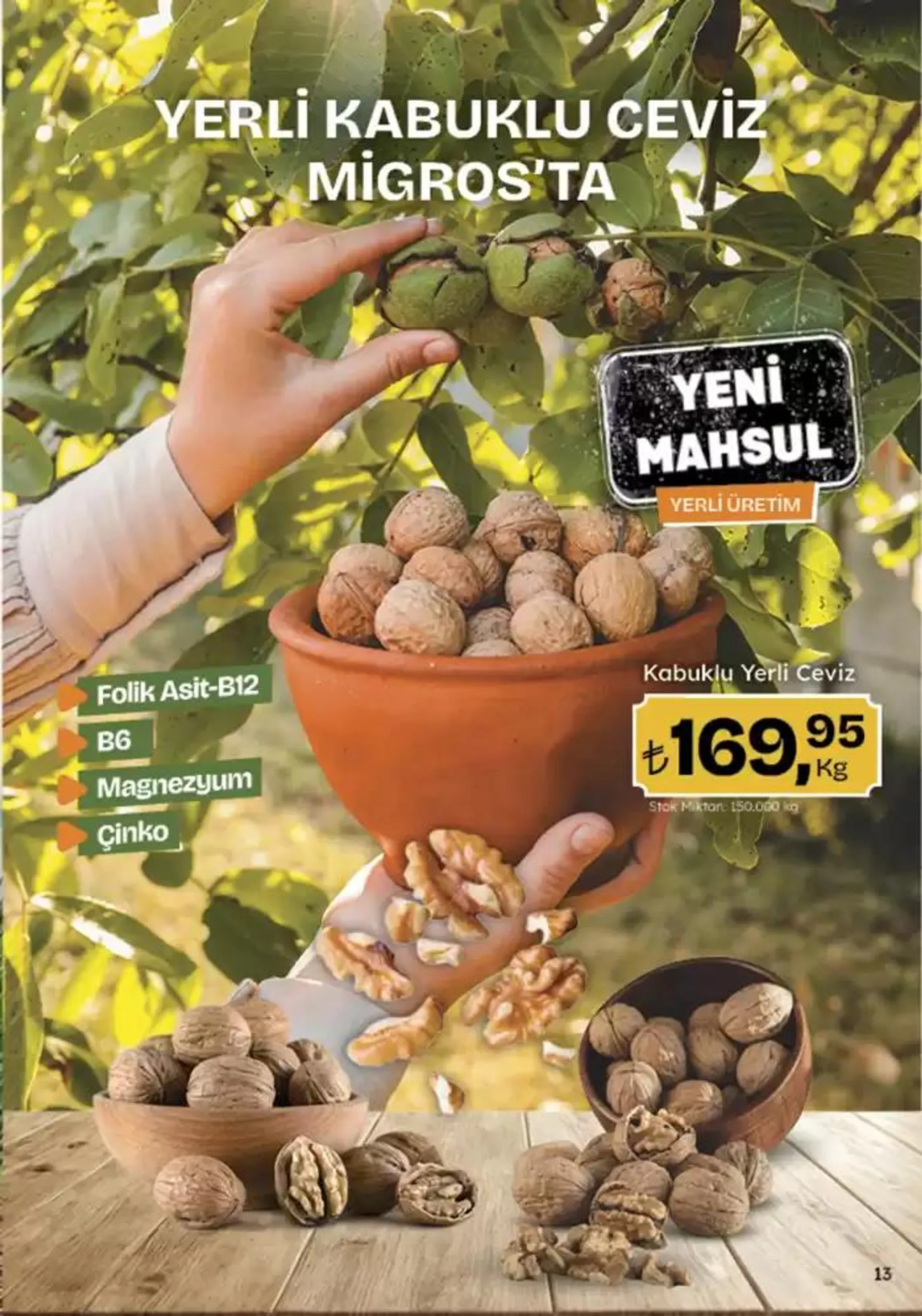 Katalog İndirimler ve kampanyalar 7 Kasım - 20 Kasım 2024 - aktüel Sayfa 13