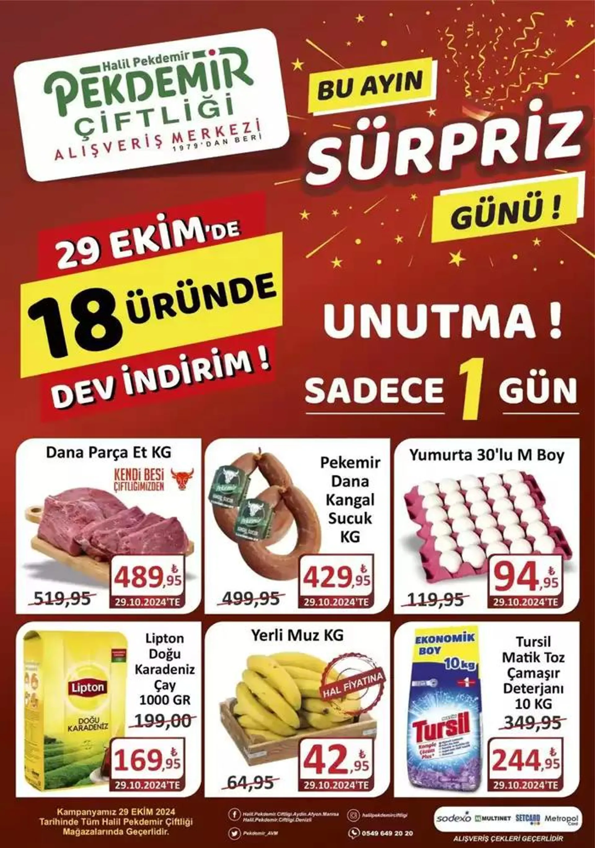 Pekdemir katalog - 1