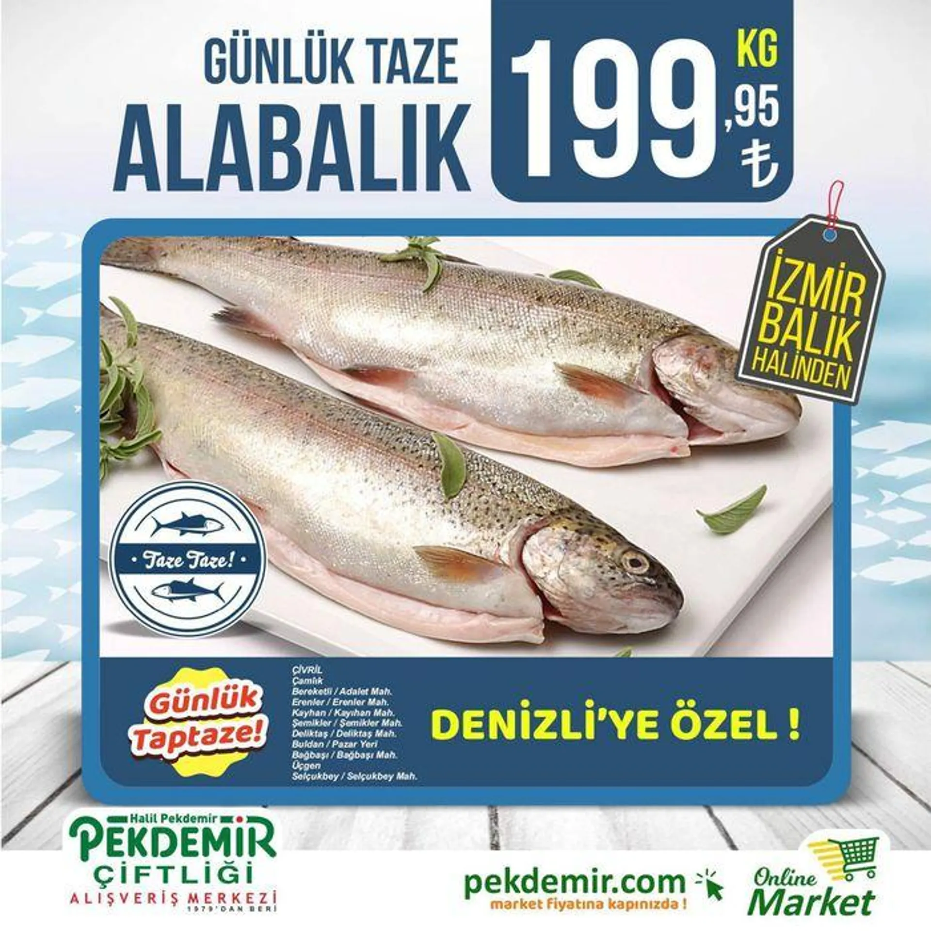 Katalog Pekdemir katalog 20 Eylül - 4 Ekim 2024 - aktüel Sayfa 2