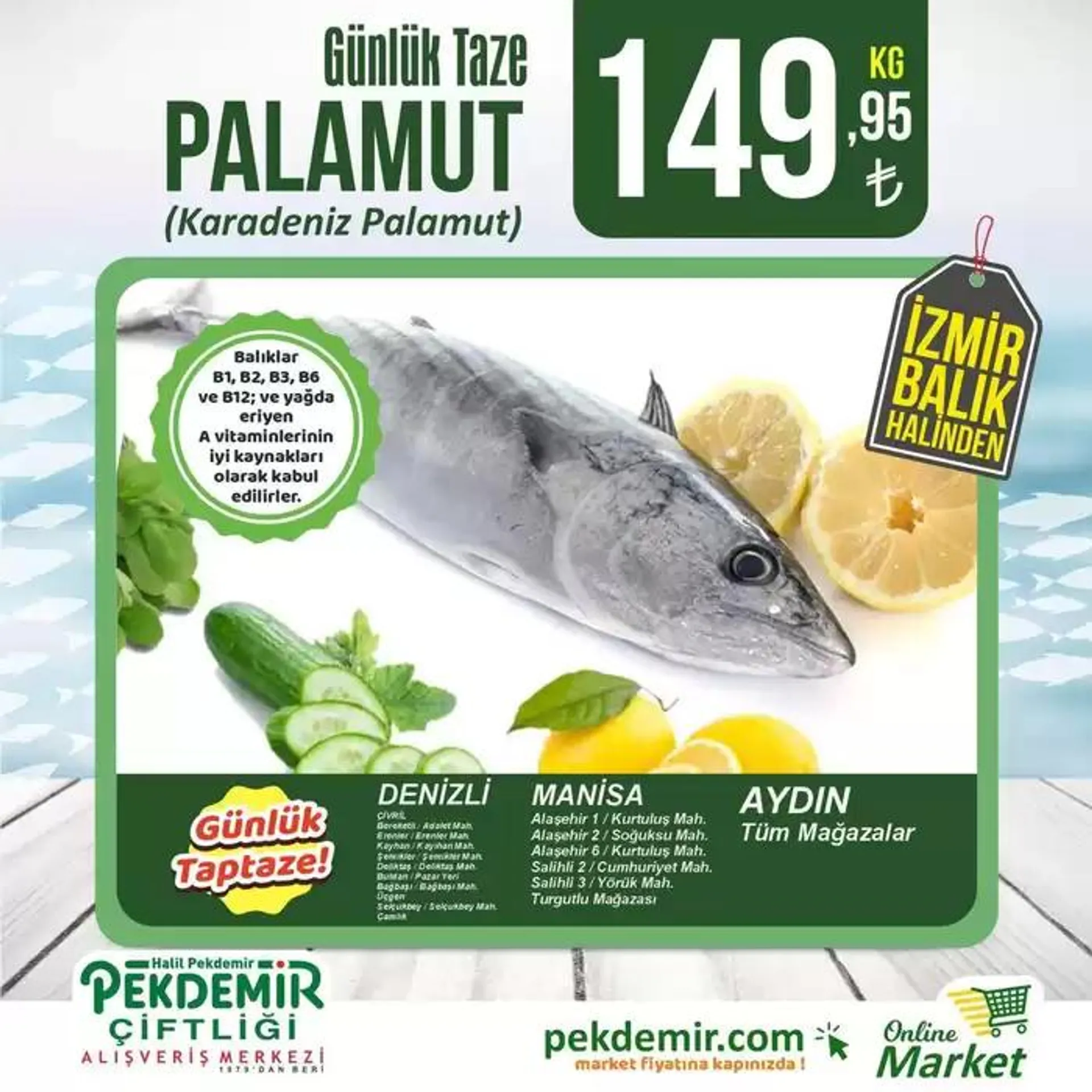 Pekdemir katalog - 1