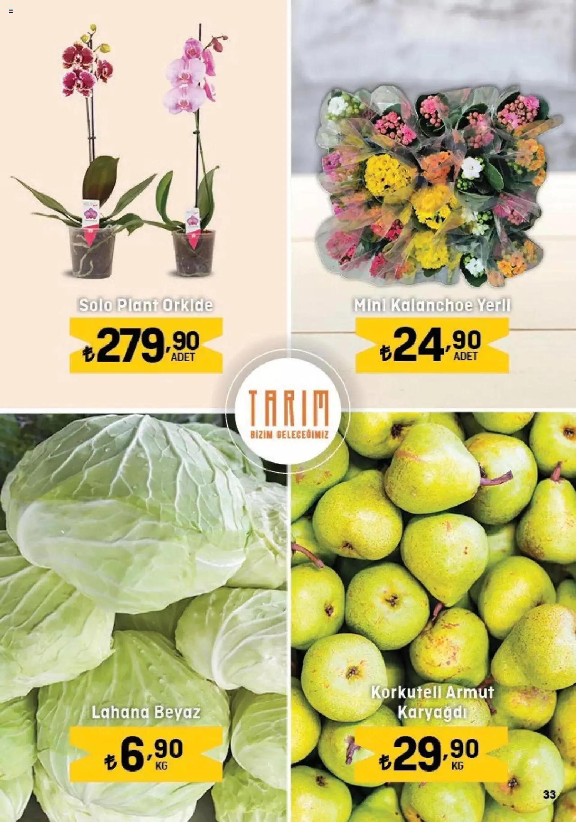 Katalog Migros Katalog - 5M Migroskop 1 Şubat - 14 Şubat 2024 - aktüel Sayfa 33