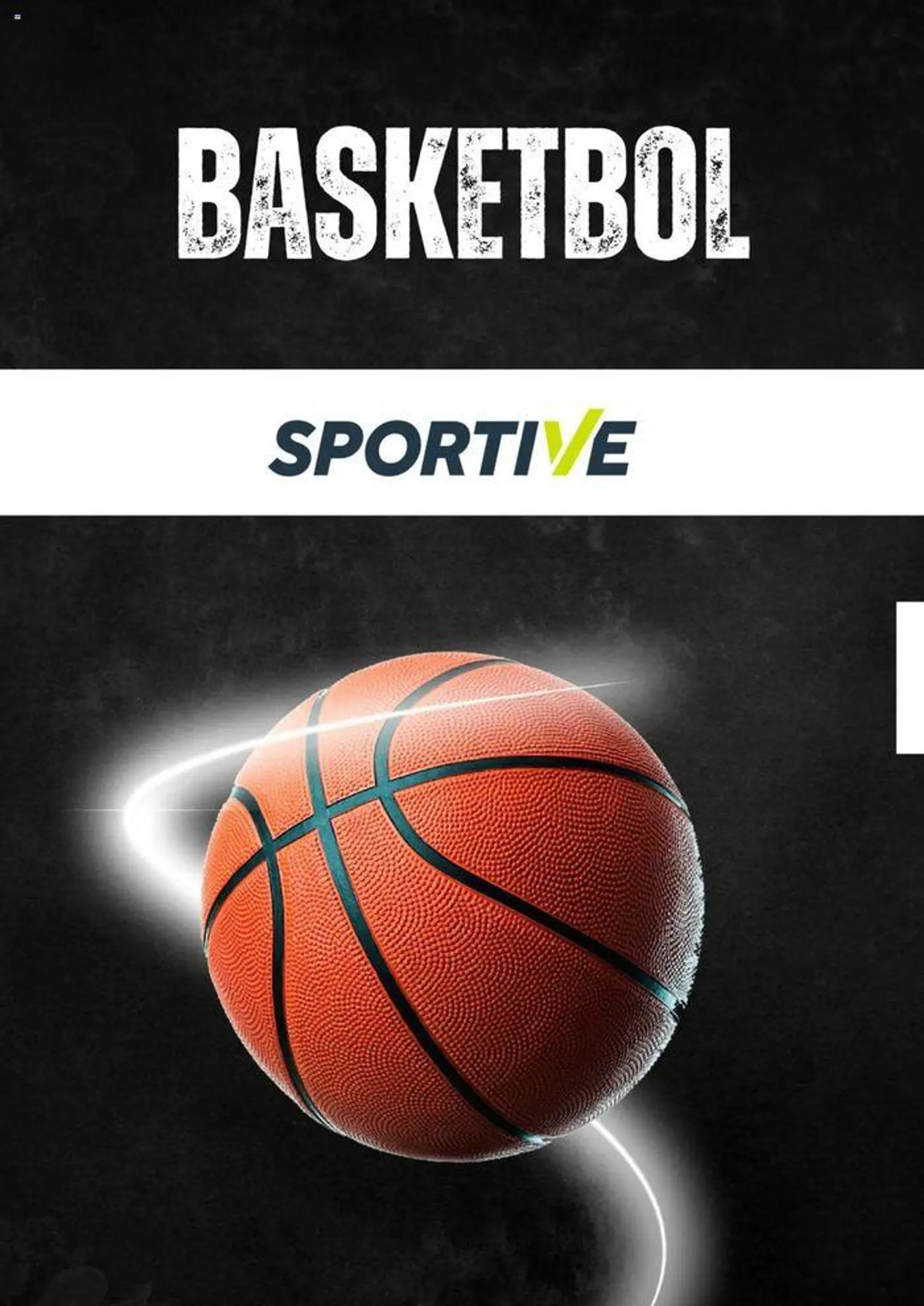 Sportive Basketbol - 1