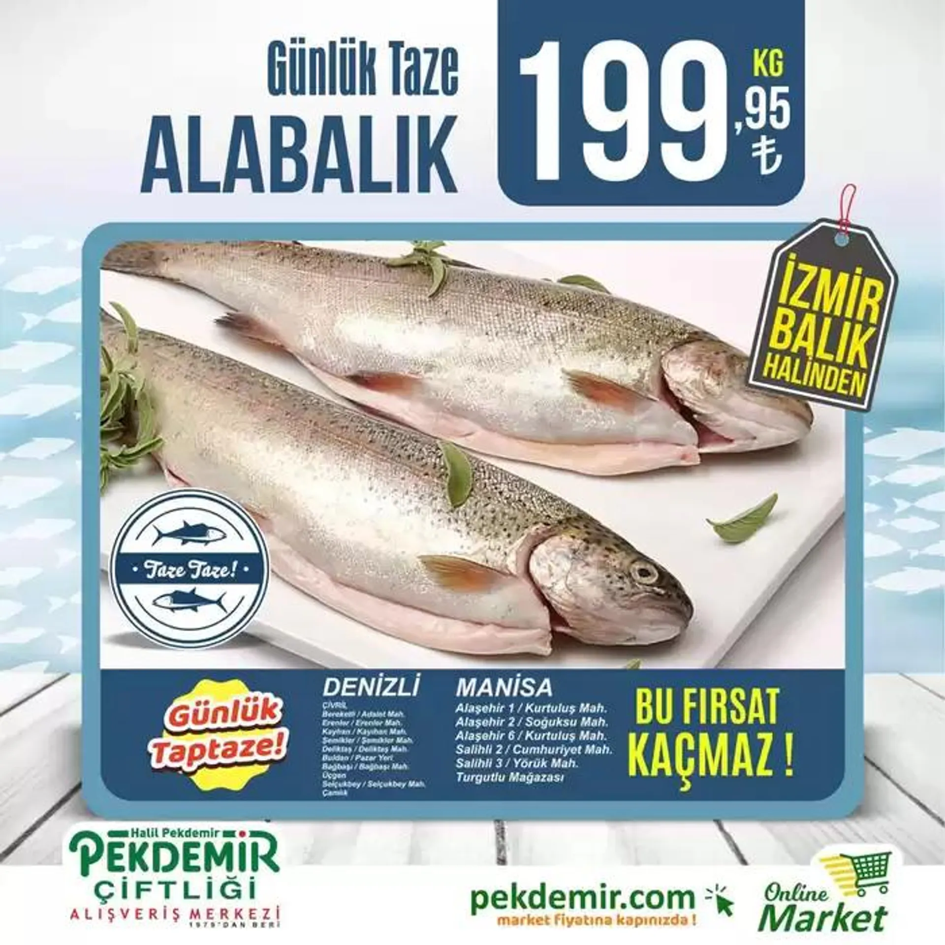 Katalog Güncel fırsatlar ve teklifler 19 Ekim - 2 Kasım 2024 - aktüel Sayfa 3