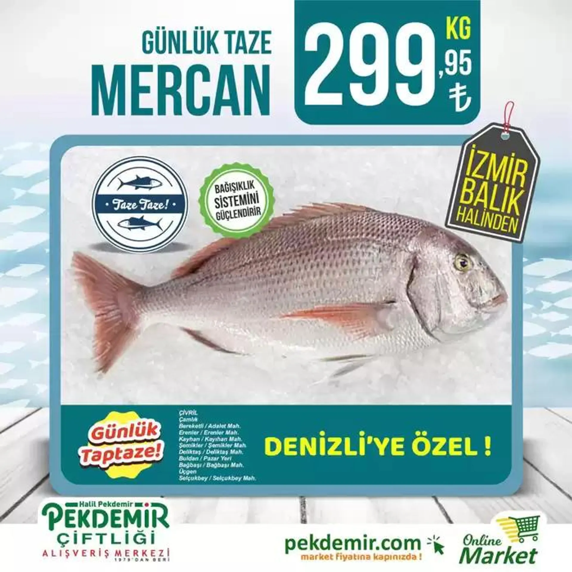 Katalog Keşfedilecek yeni teklifler 26 Eylül - 10 Ekim 2024 - aktüel Sayfa 5