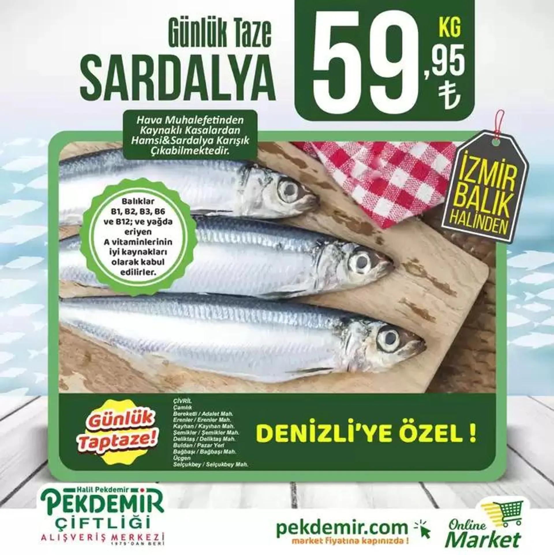 Pekdemir katalog - 1