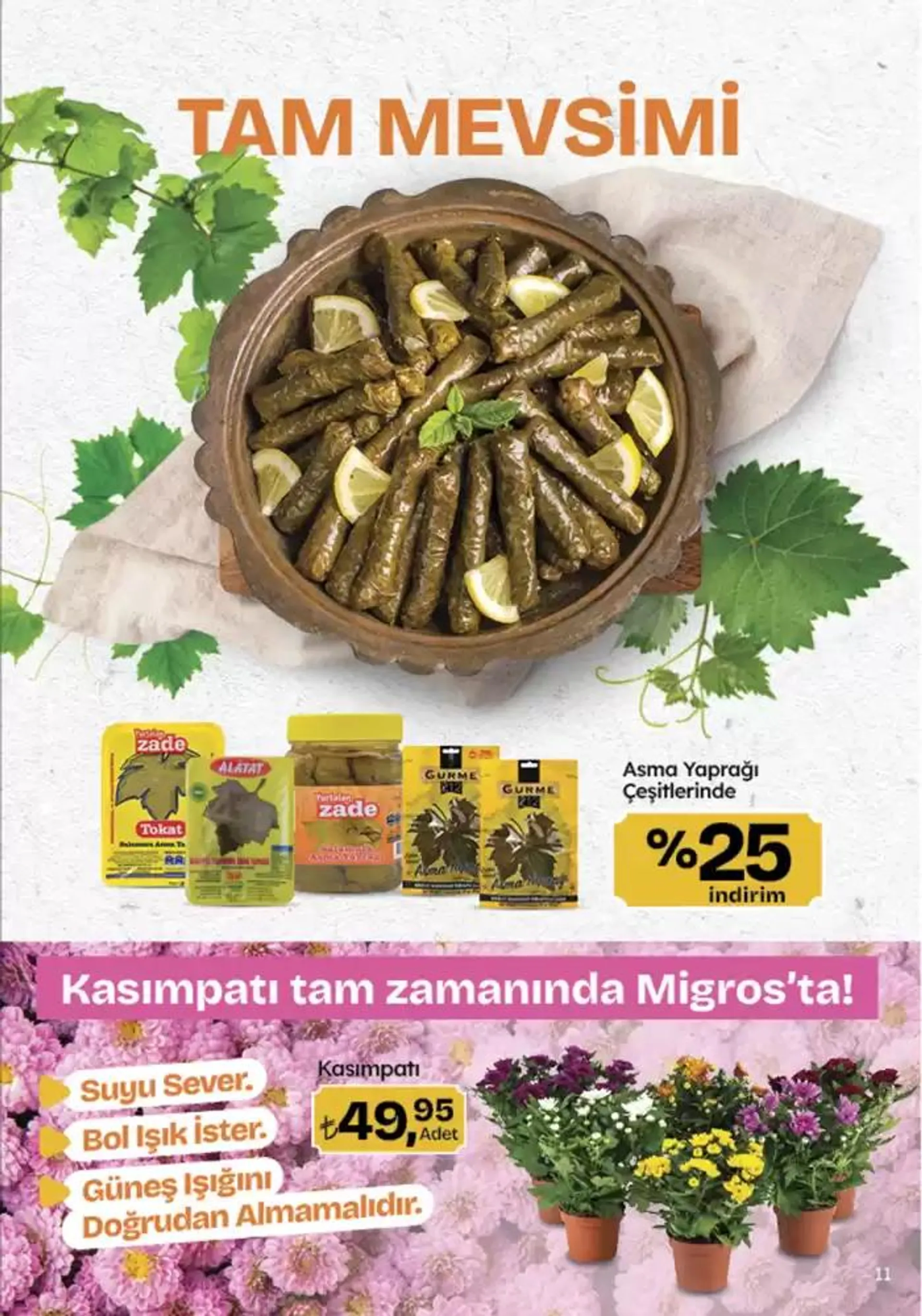 Katalog İndirimler ve kampanyalar 7 Kasım - 20 Kasım 2024 - aktüel Sayfa 11