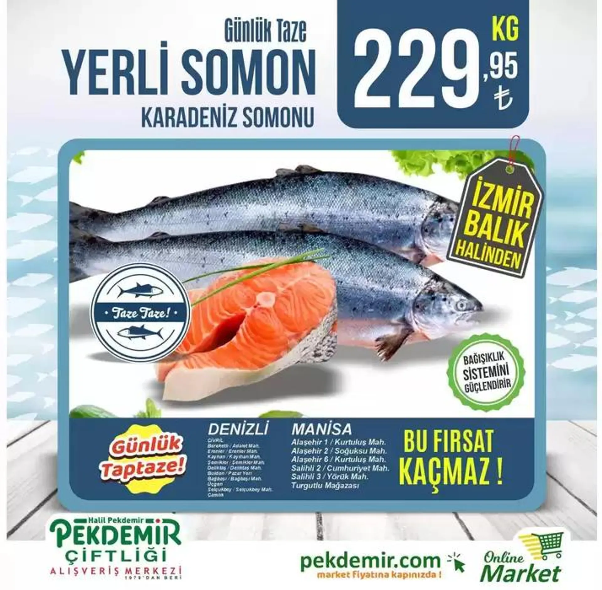 Katalog Pekdemir katalog 20 Ekim - 3 Kasım 2024 - aktüel Sayfa 3